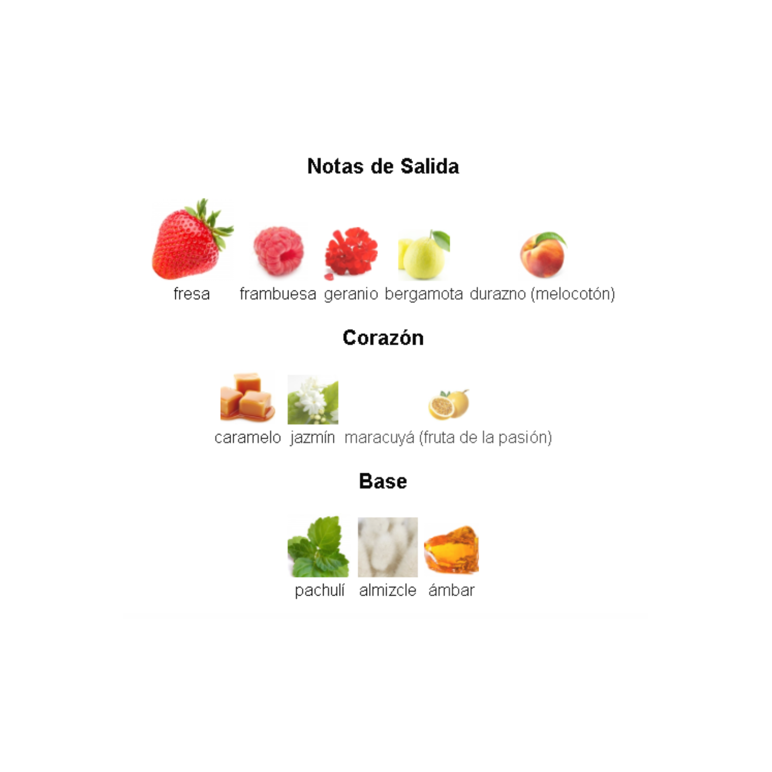 Odyssey Candee Armaf