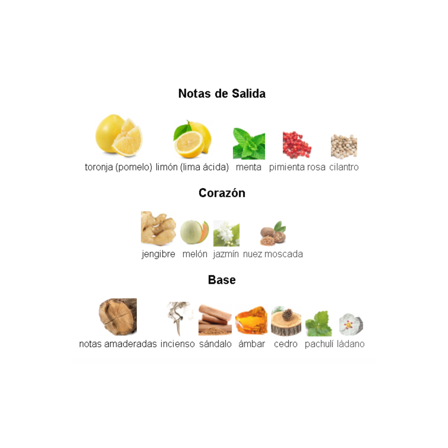 Club de Nuit Blue Iconic Armaf