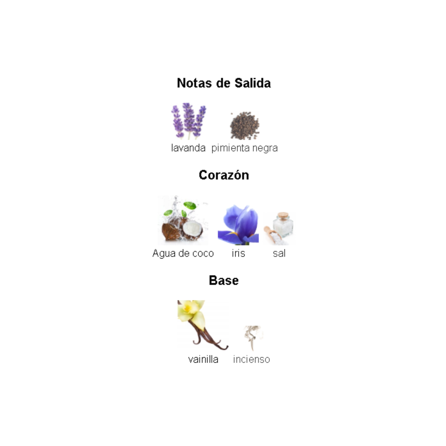 Asad Zanzibar Lattafa