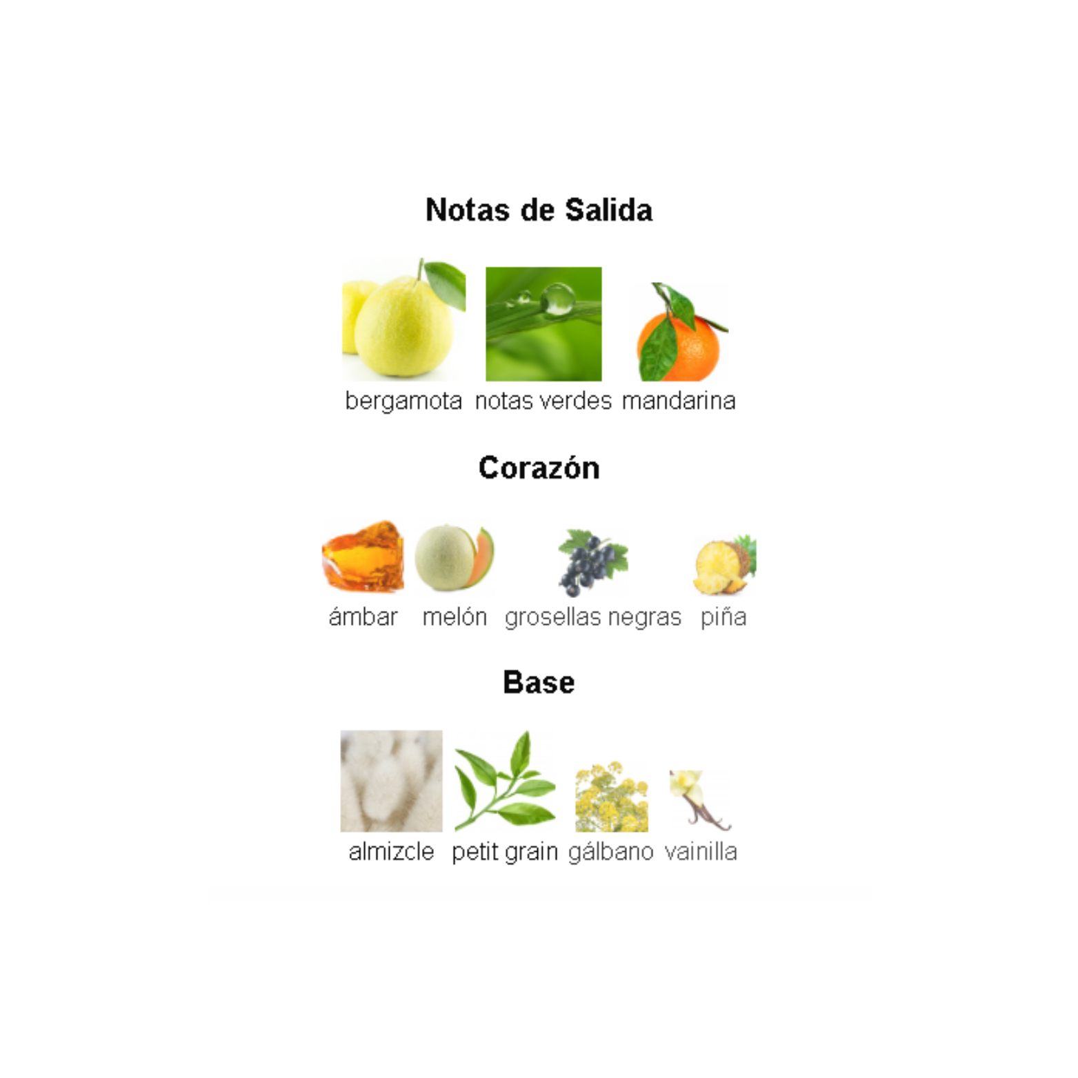 Amber Oud Aqua Dubai Al Haramain