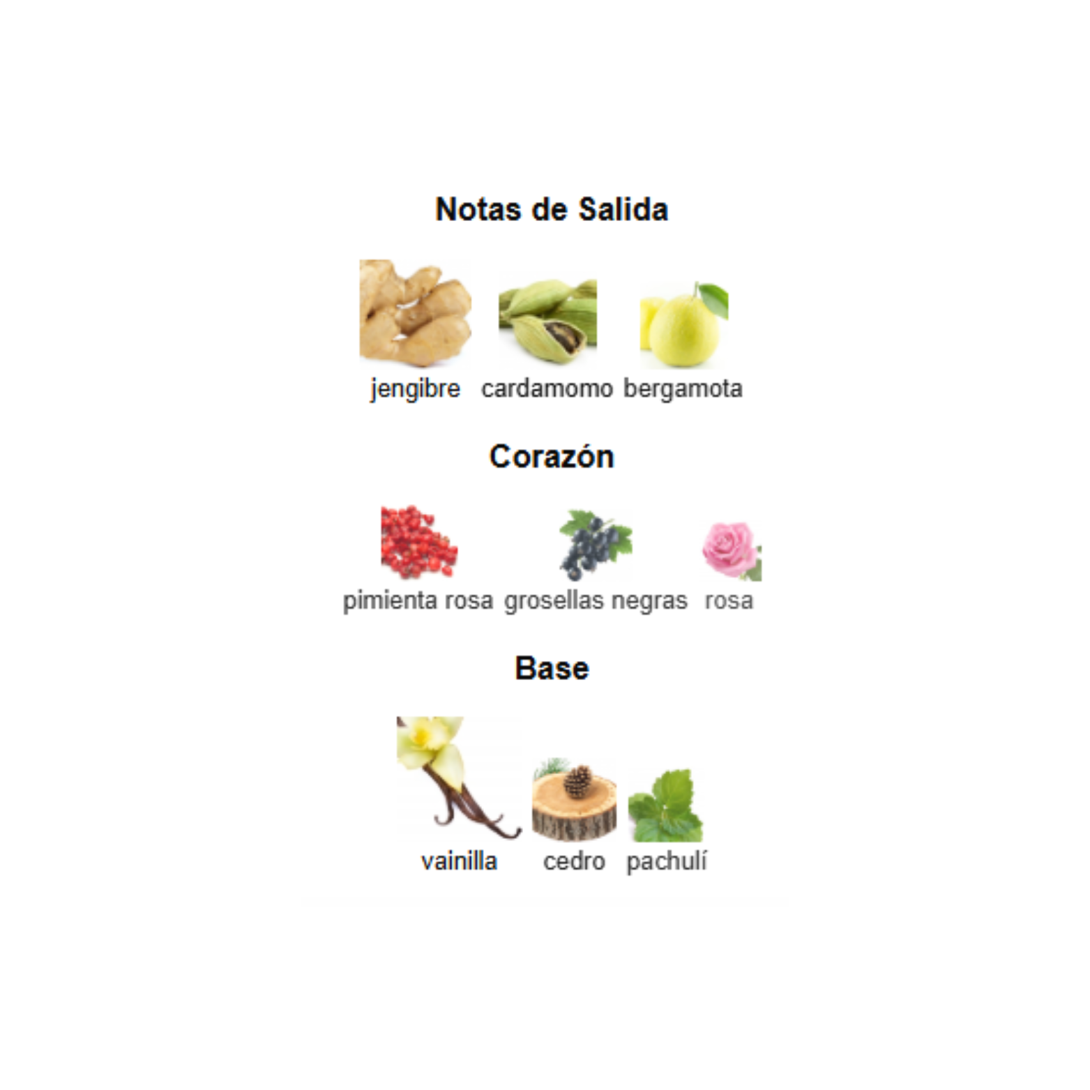 Spectre Ghost French Avenue