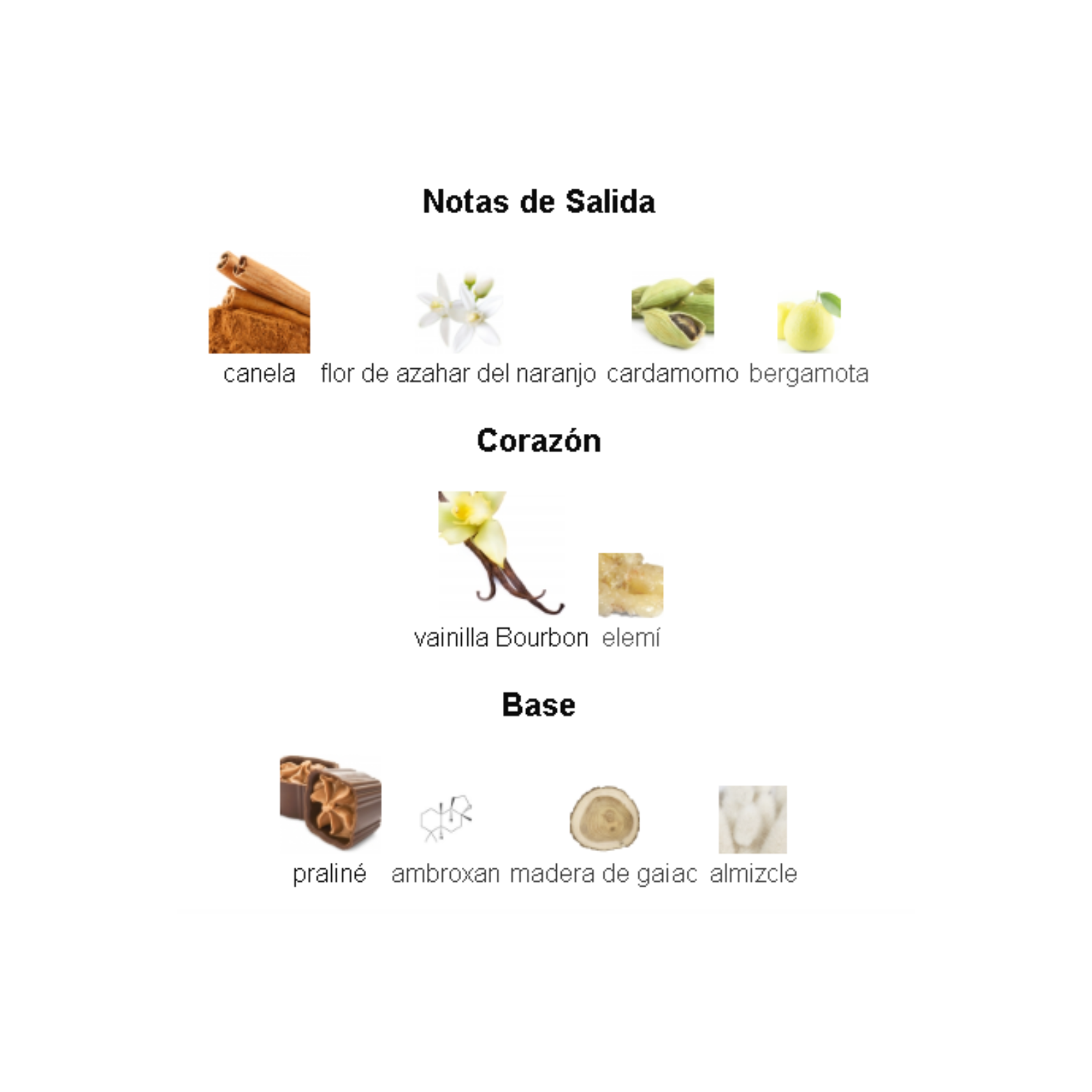 Liquid Brun French Avenue