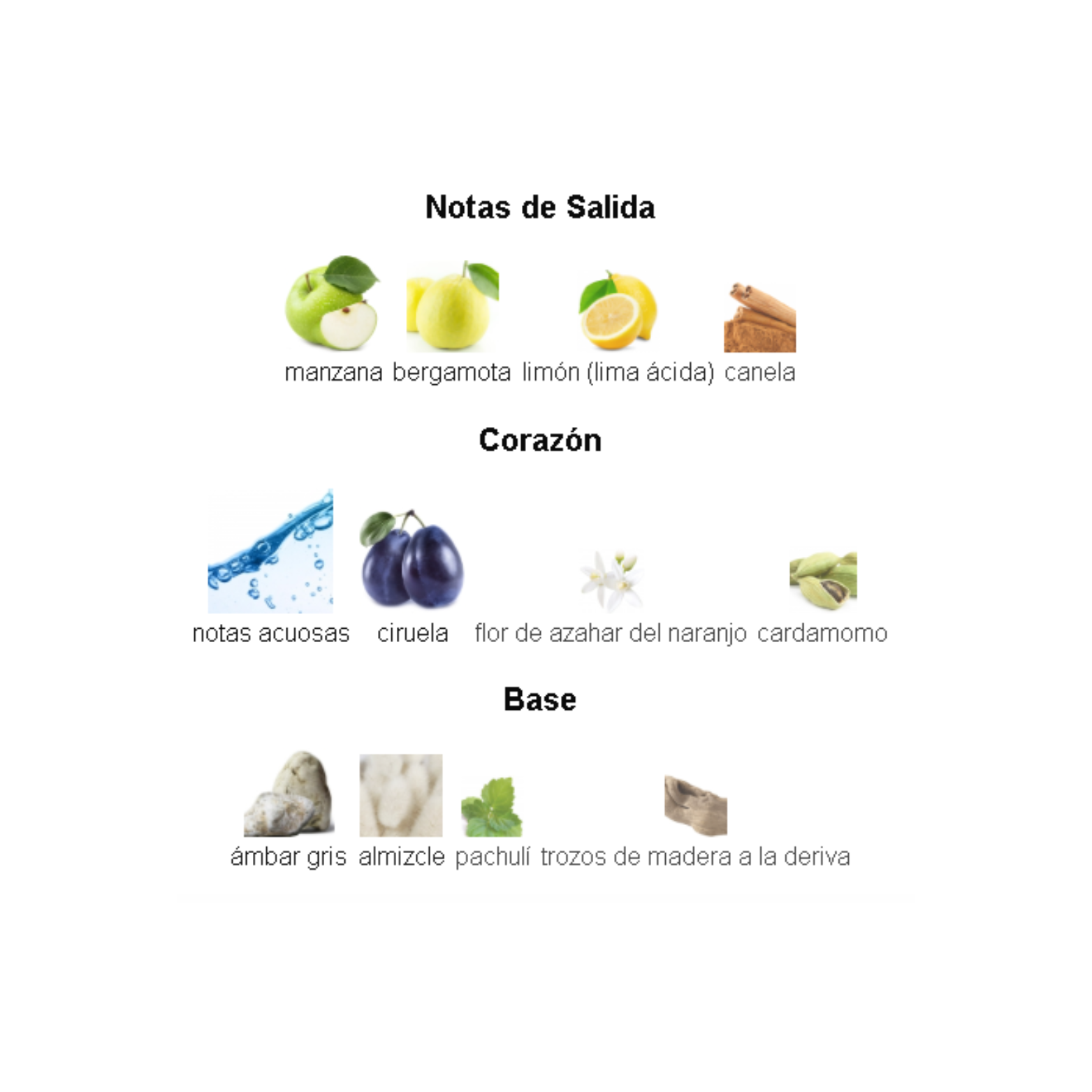 Hawas for Him Rasasi