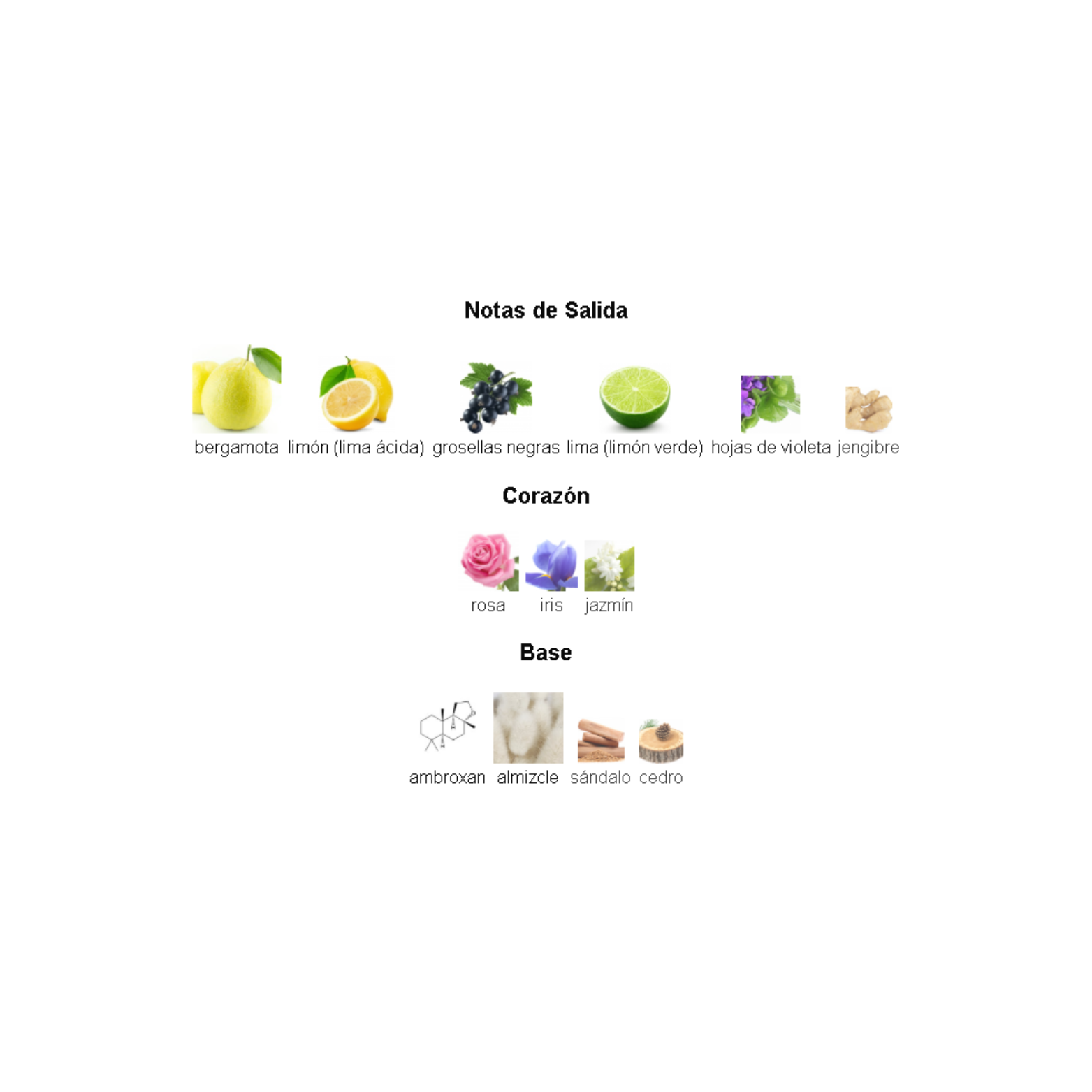 Club de Nuit Sillage Armaf