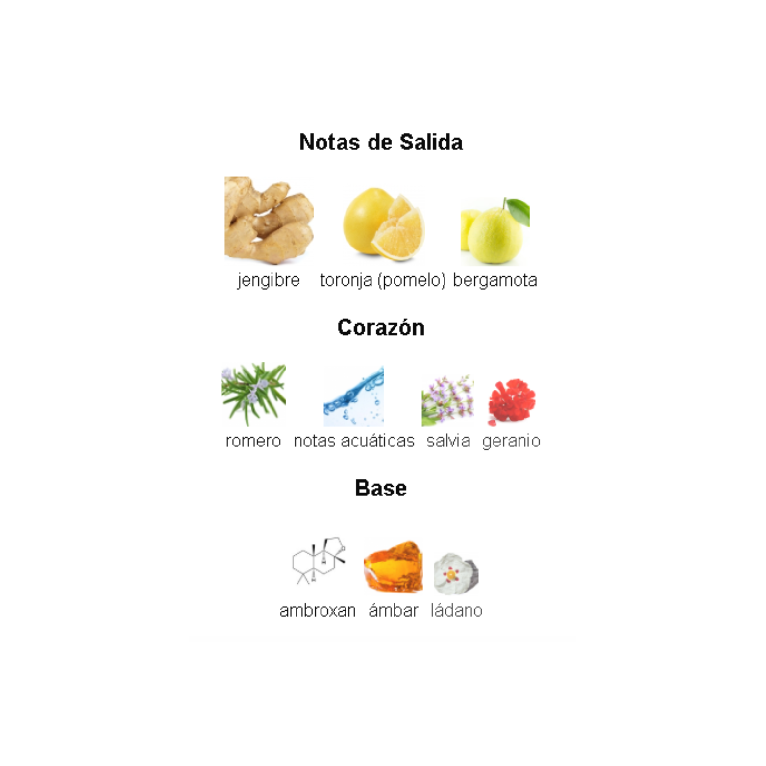 Jean Lowe Immortal Maison Alhambra