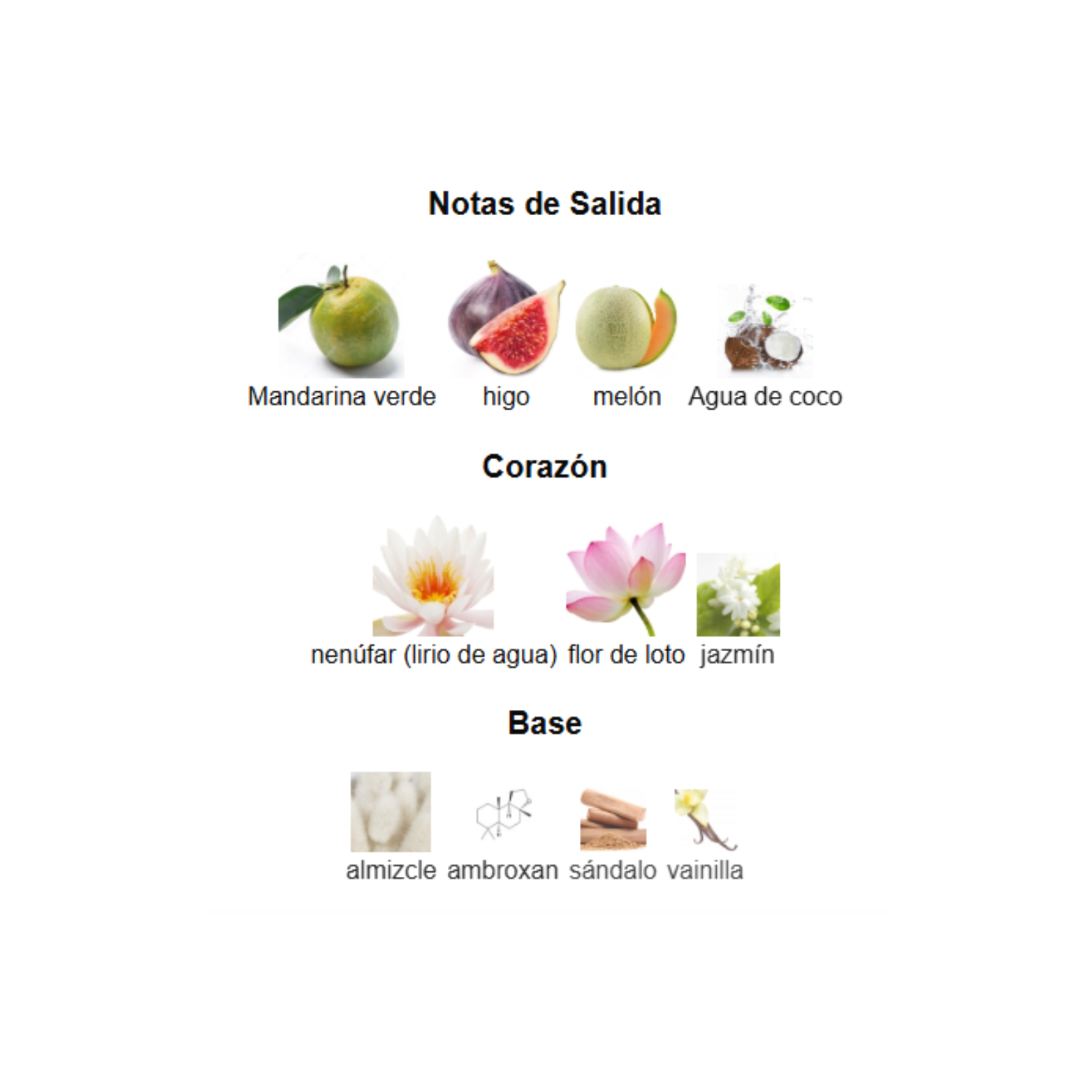 Mayar Natural Intense Lattafa