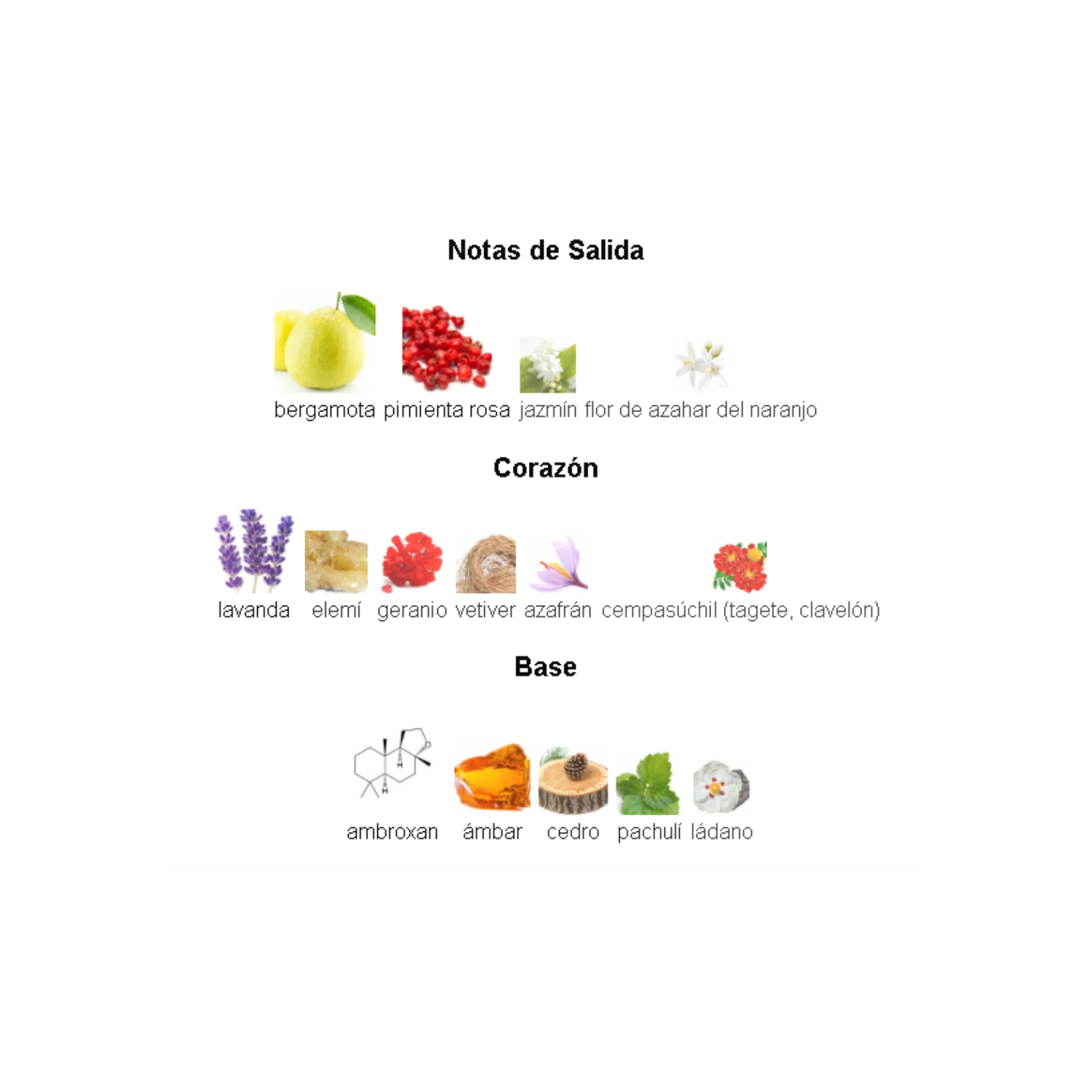 Club De Nuit Urban Elixir Armaf