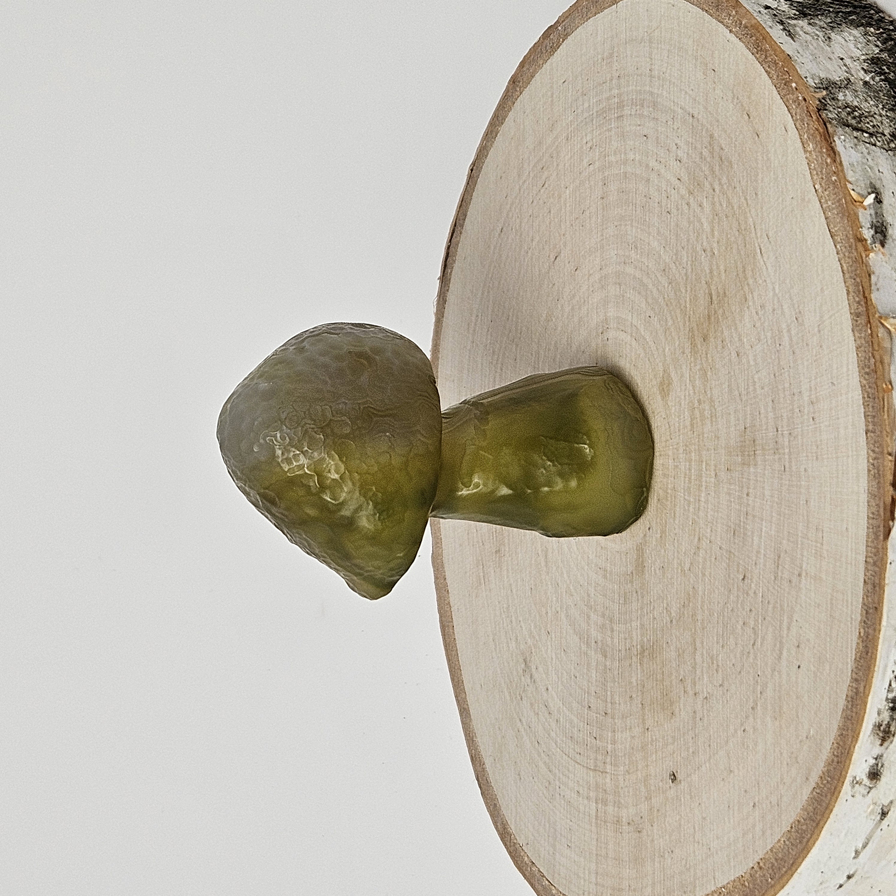 Rare Green Gobi Agate Mushroom