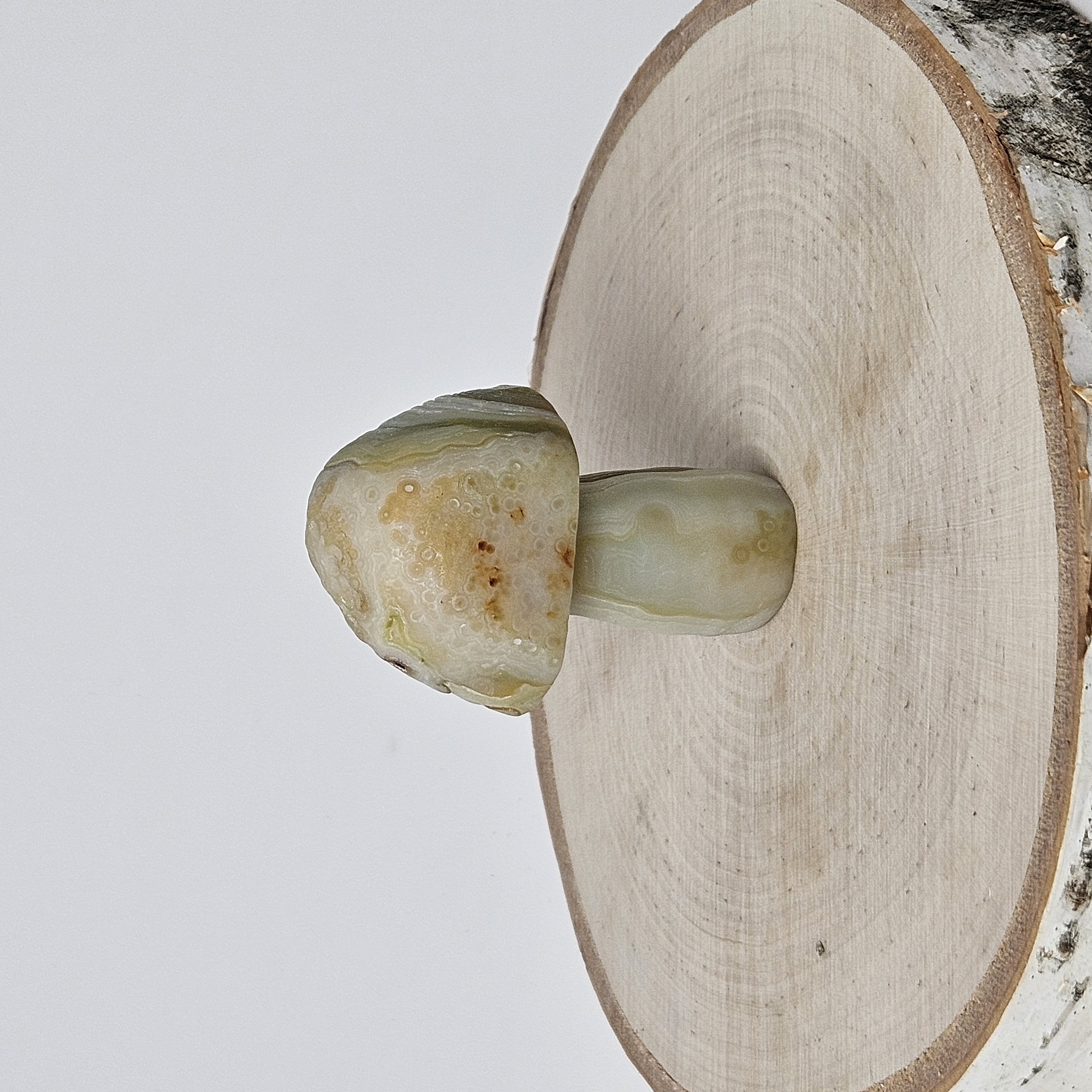 Cream-Gobi Agate Mushroom
