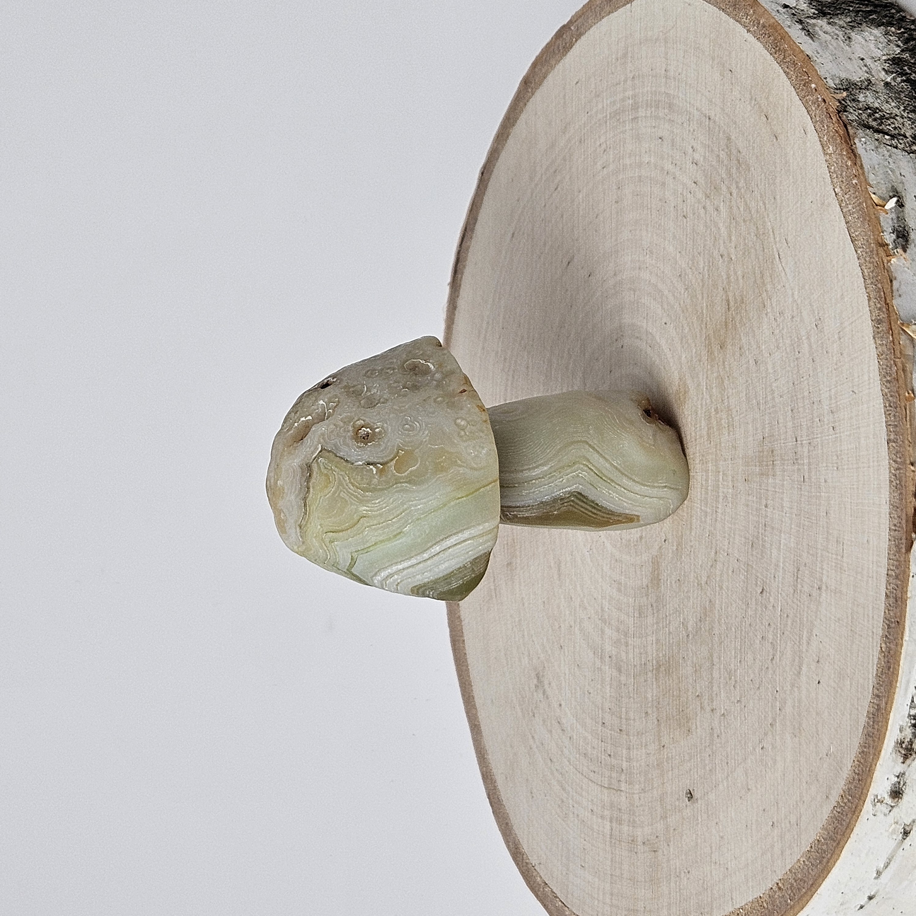 Cream-Gobi Agate Mushroom