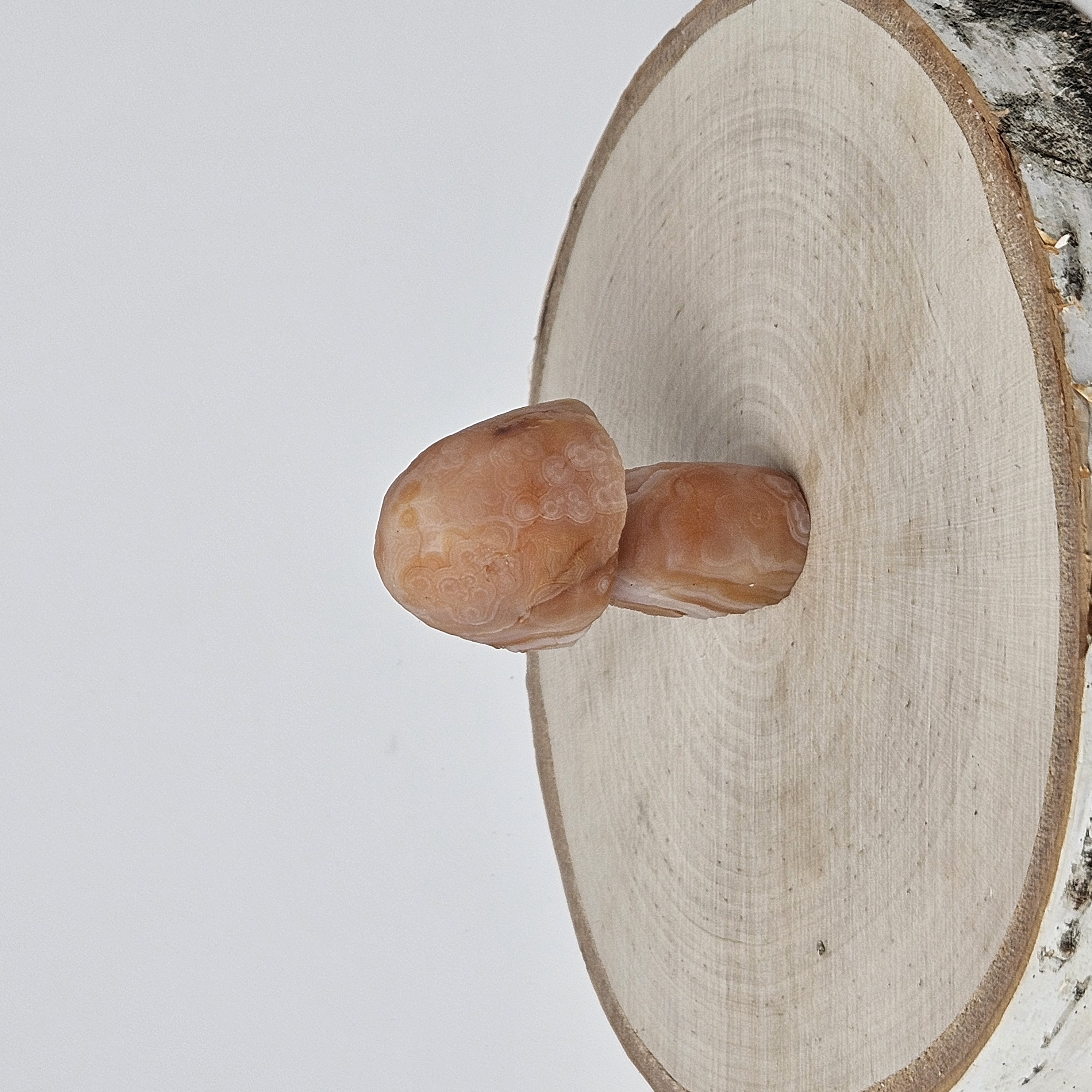 Rare Peach Gobi Agate Mushroom