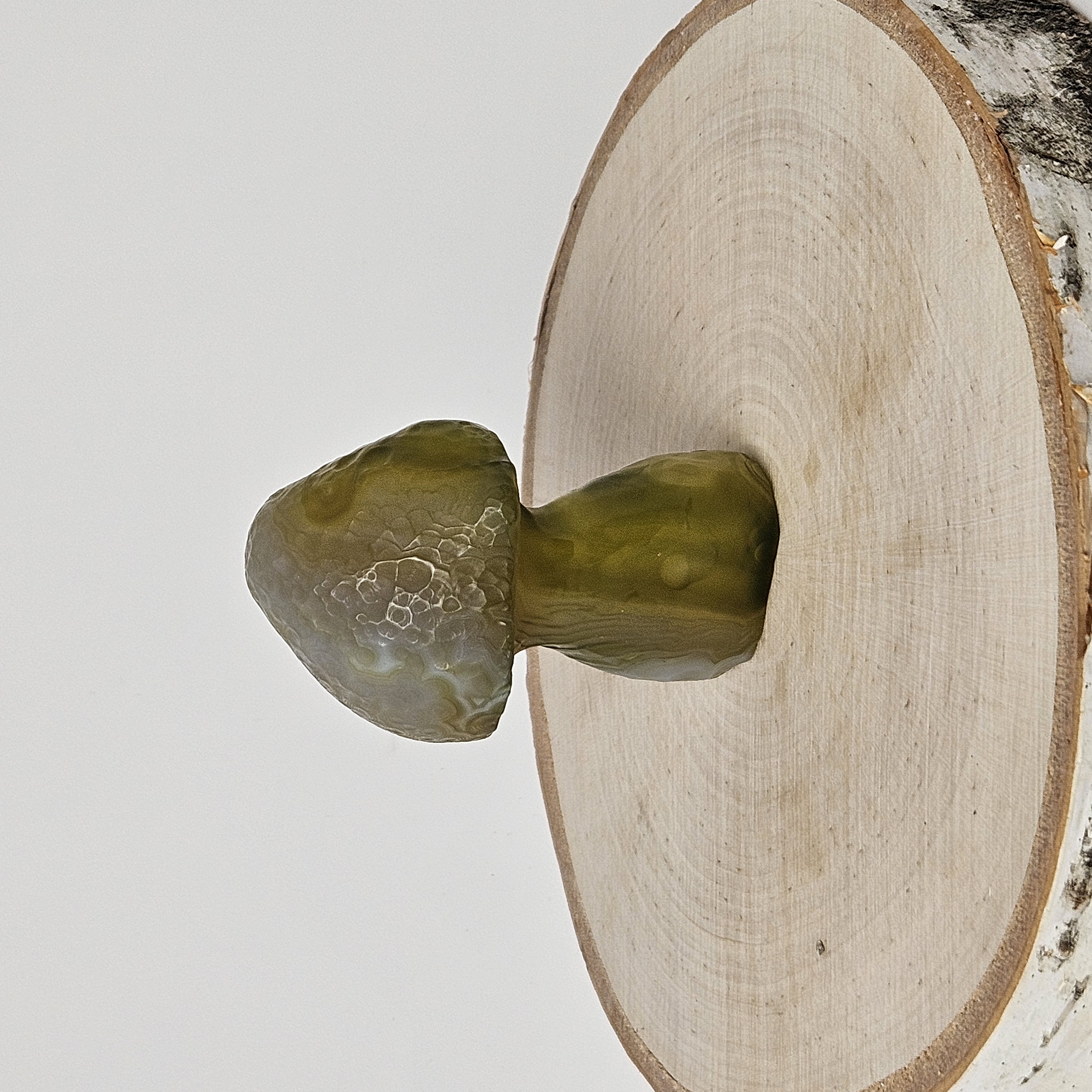 Rare Green Gobi Agate Mushroom