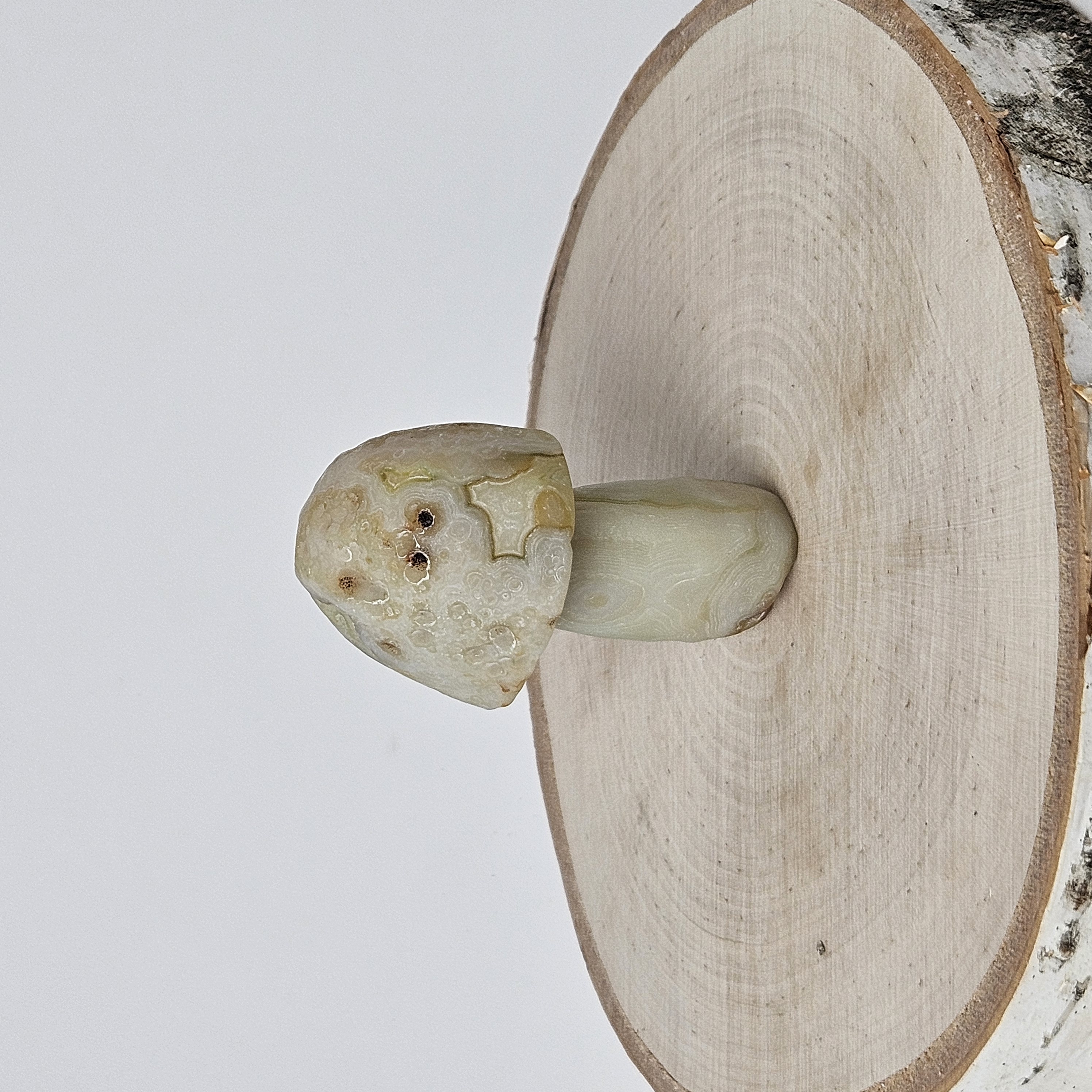 Cream-Gobi Agate Mushroom