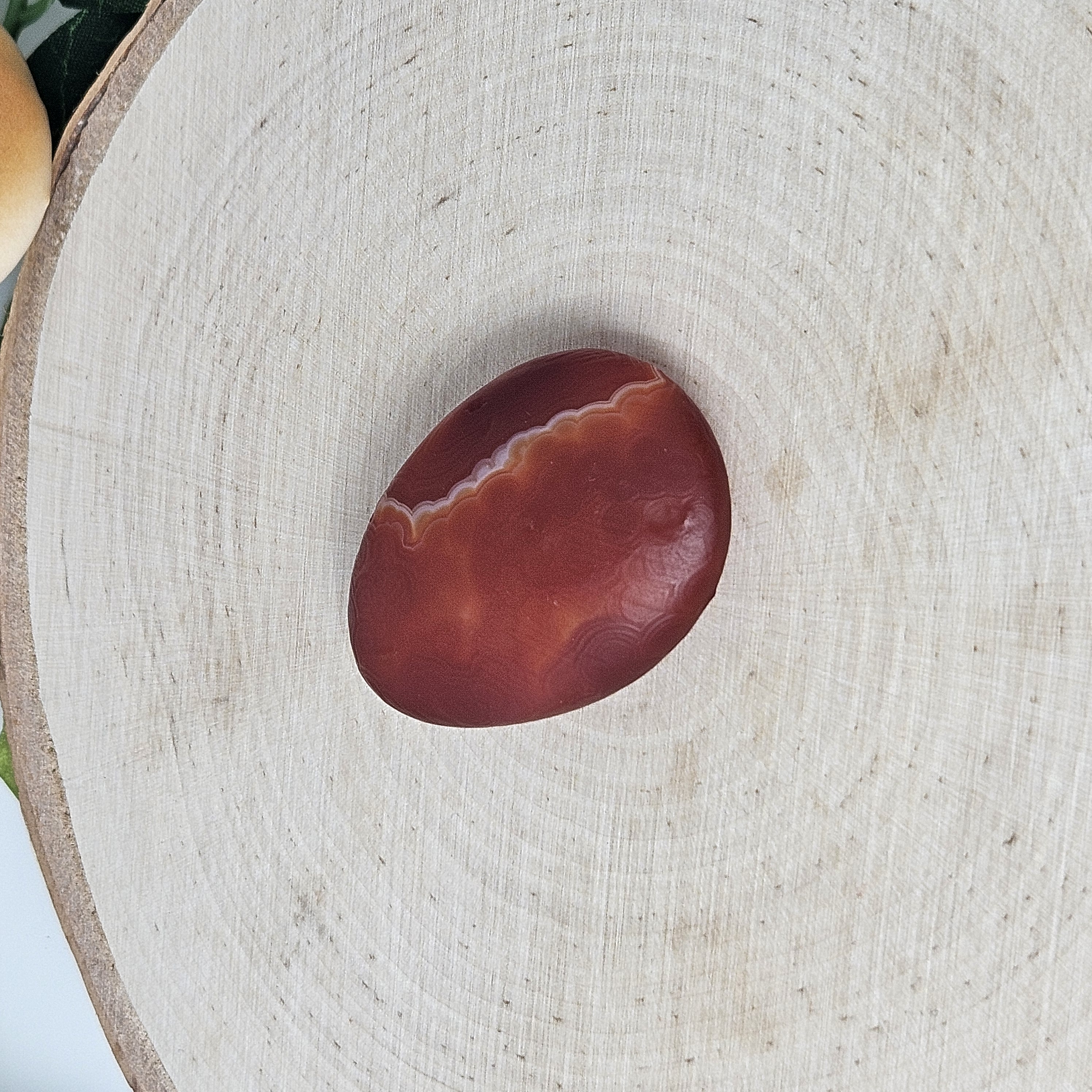 Egg Shaped Red Gobi Agate Palm