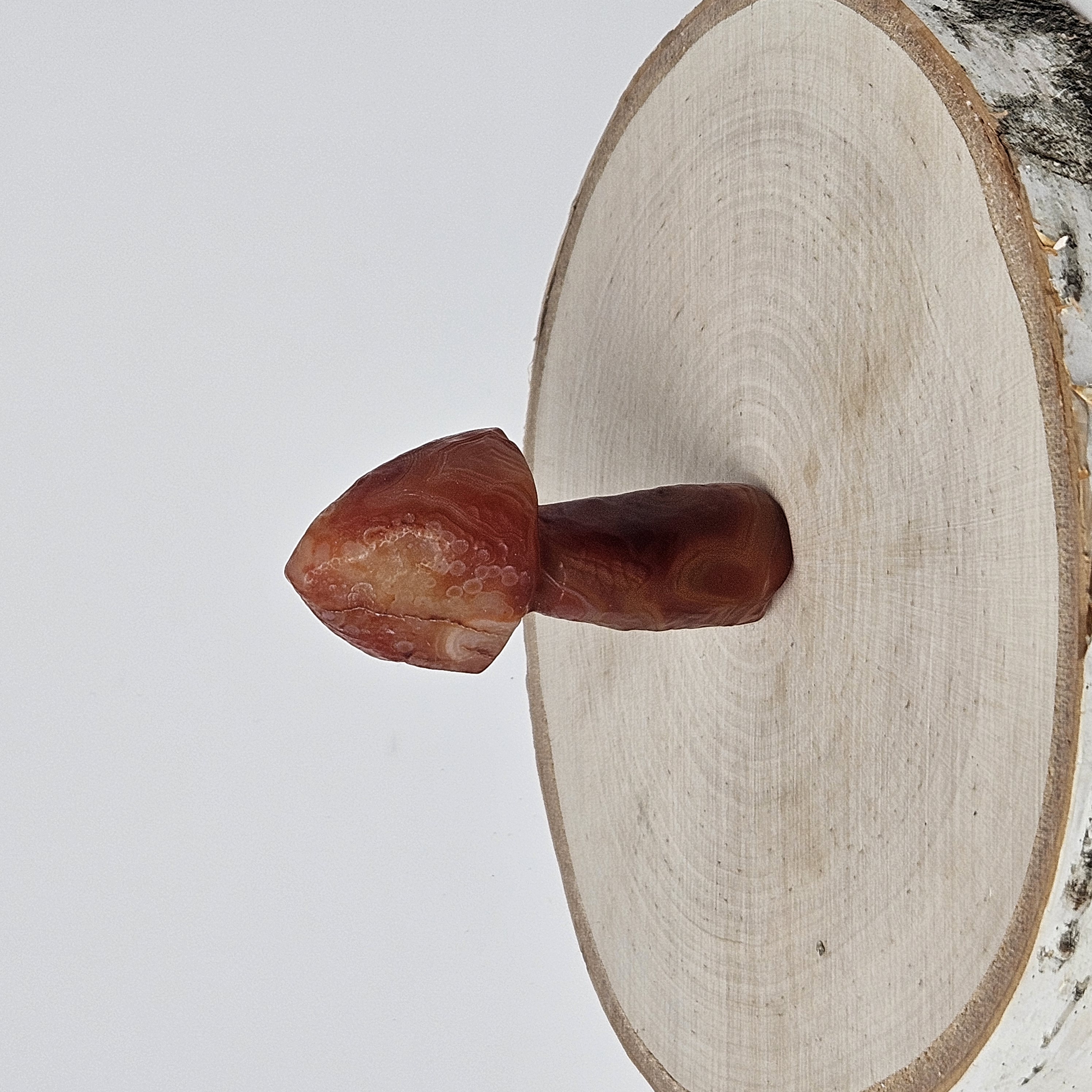 Deep Red Gobi Agate Mushroom