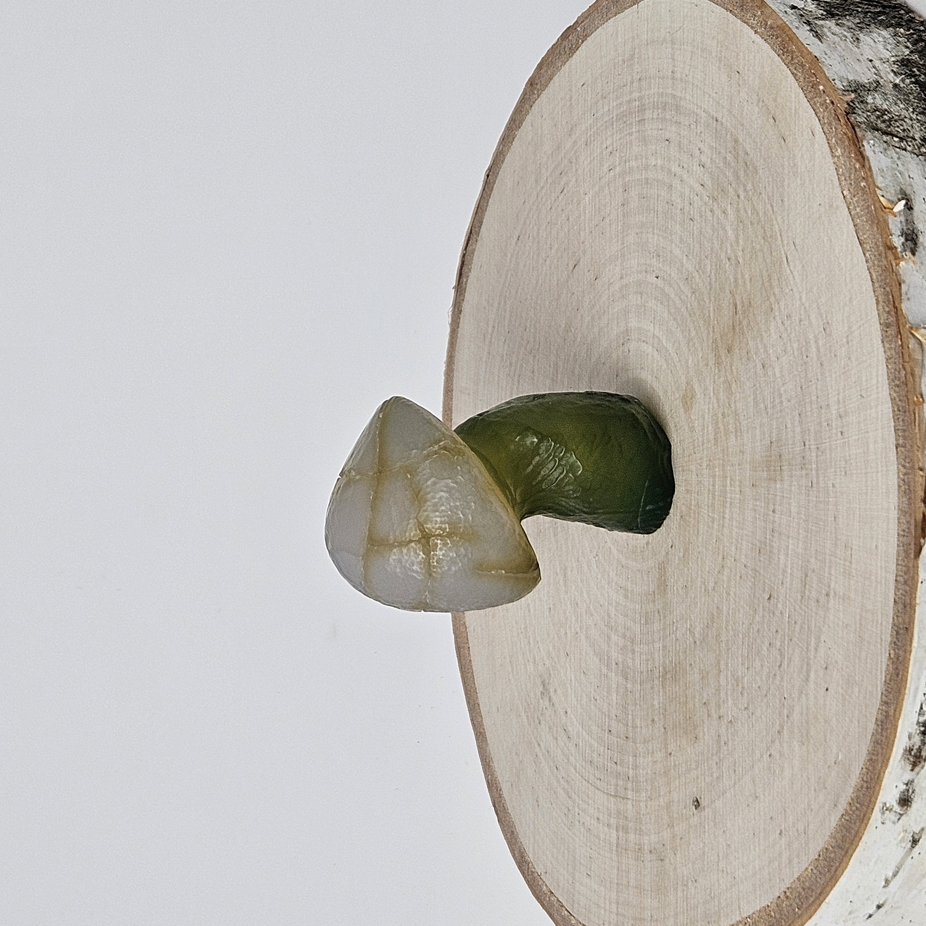 Slanted Green Gobi Agate Mushroom
