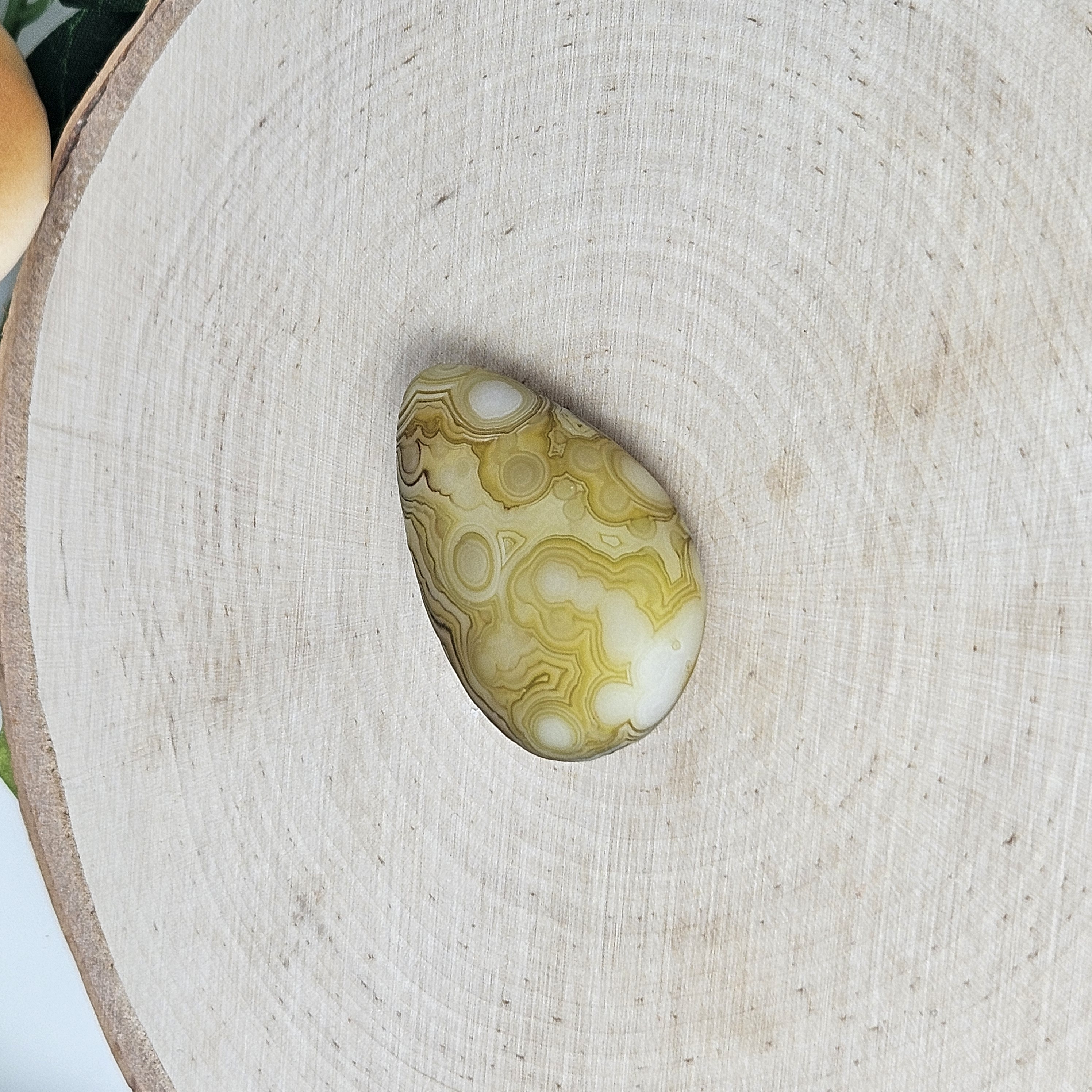Yellow Egg-Shaped Gobi Agate Palm