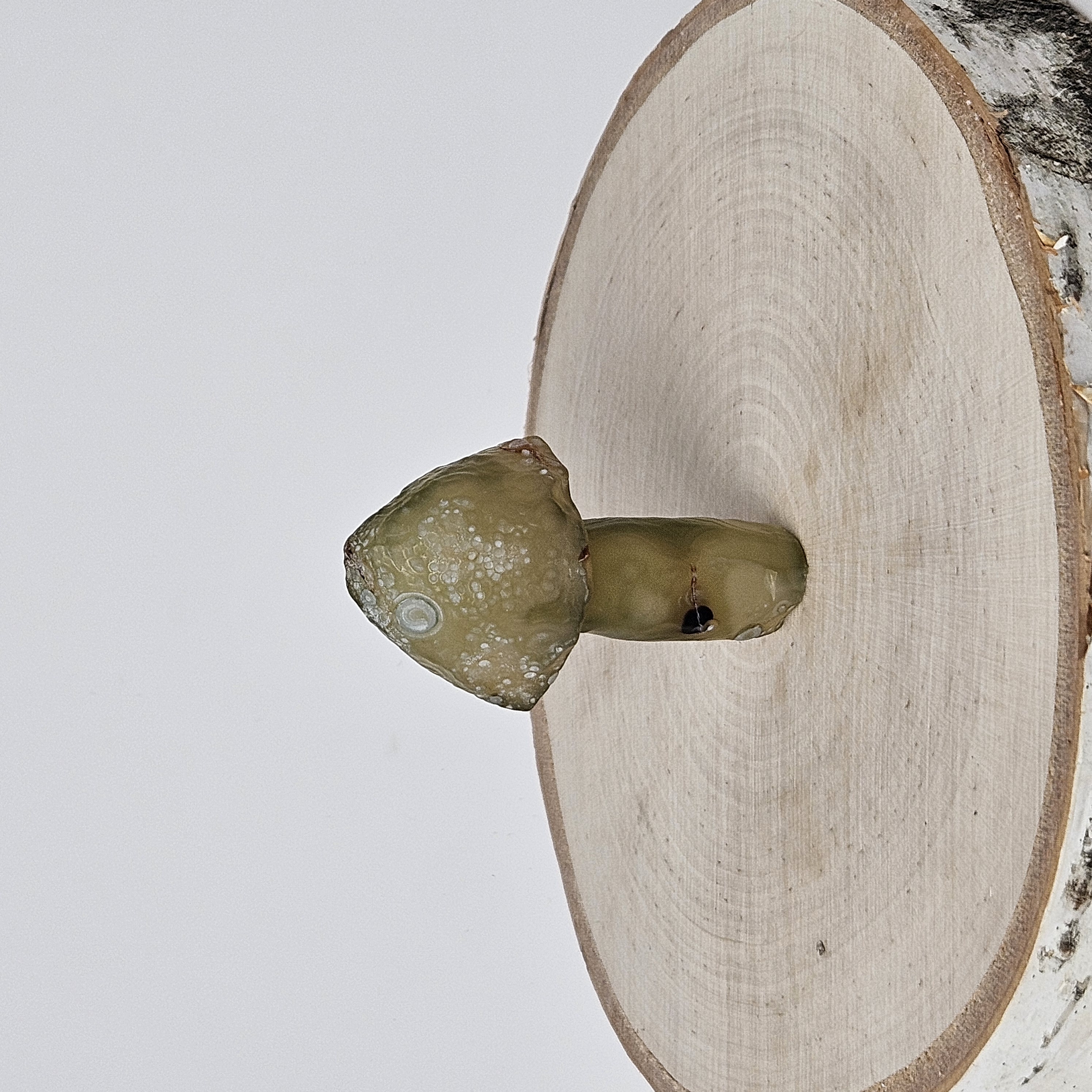 Green Gobi Agate Mushroom – Mini Orbs