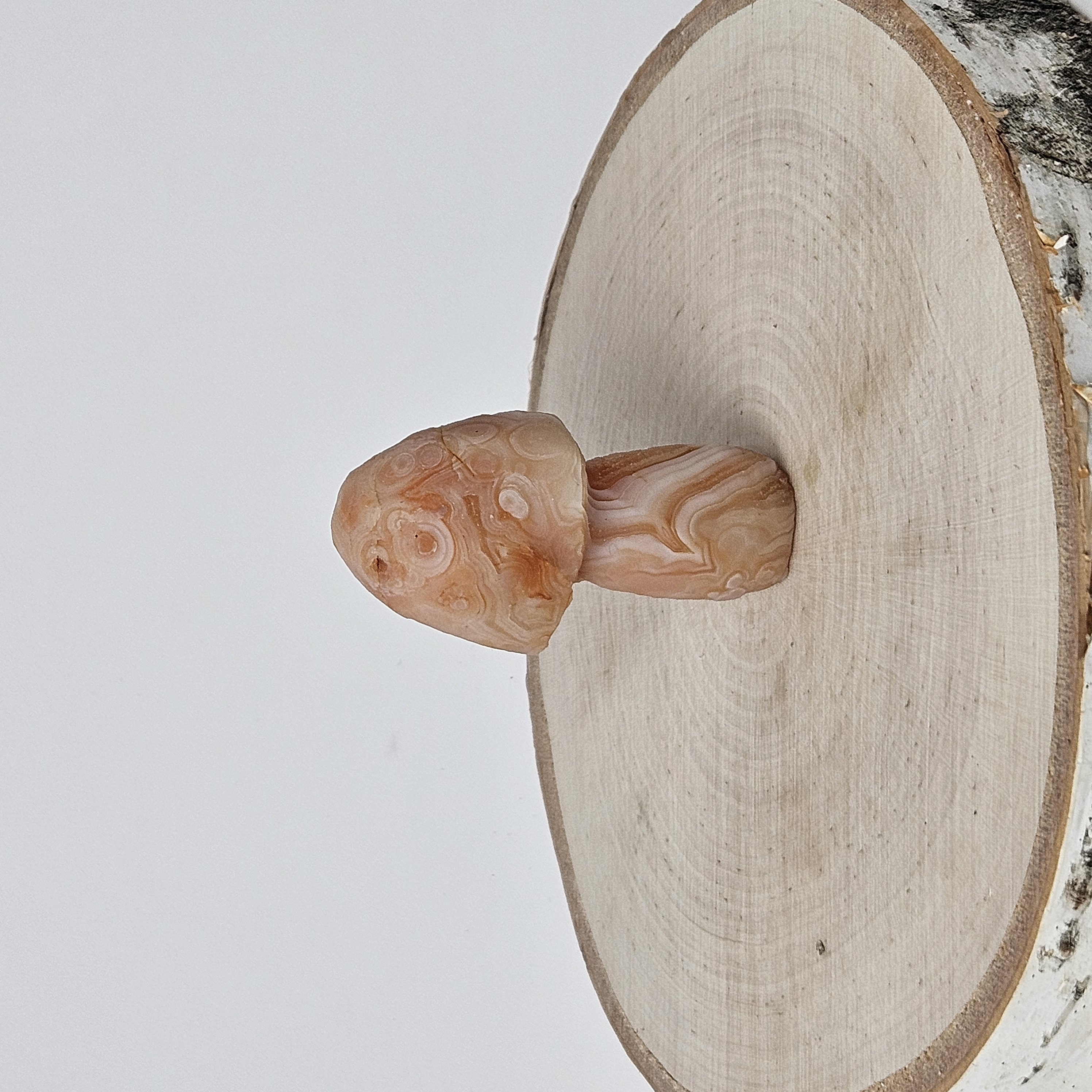 Rare Peach Gobi Agate Mushroom