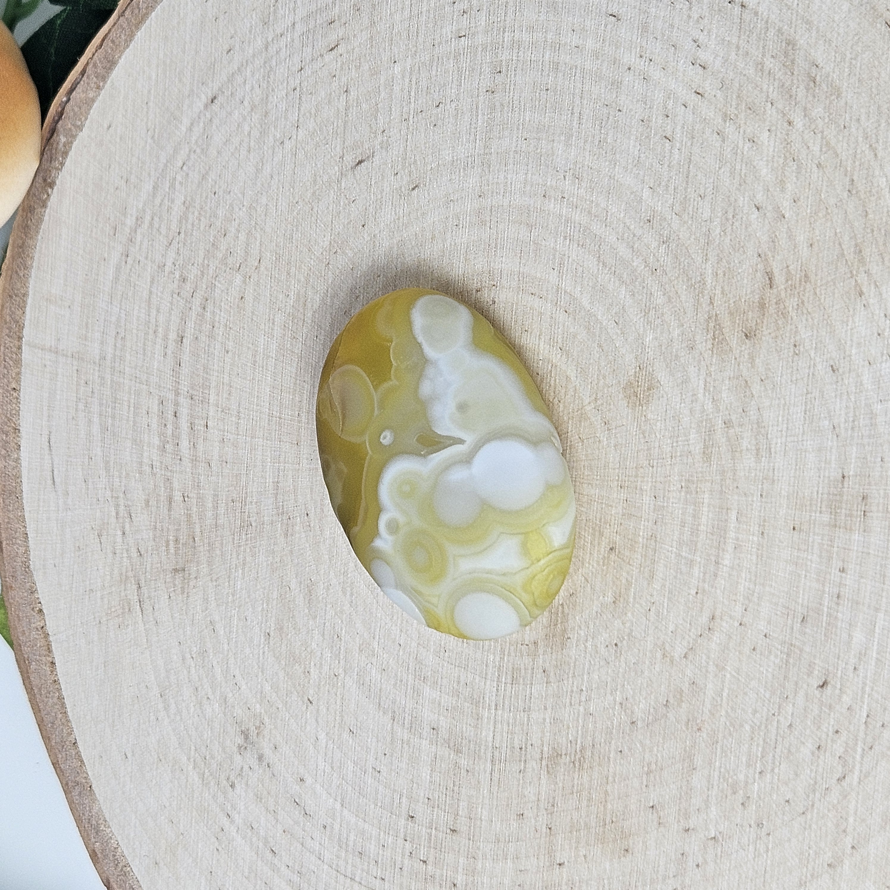 Yellow-Green Gobi Agate Palm with White Orbs