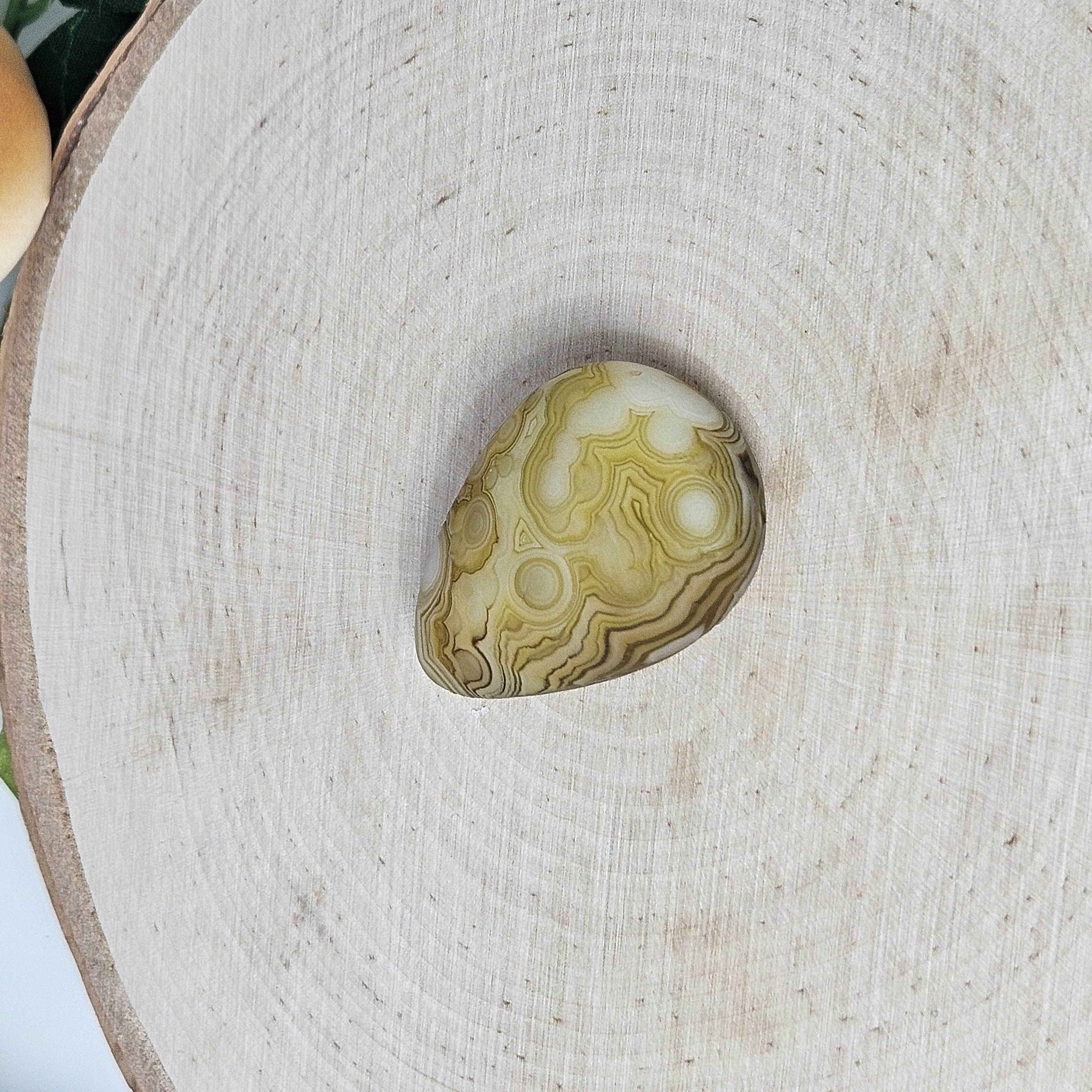 Yellow Egg-Shaped Gobi Agate Palm