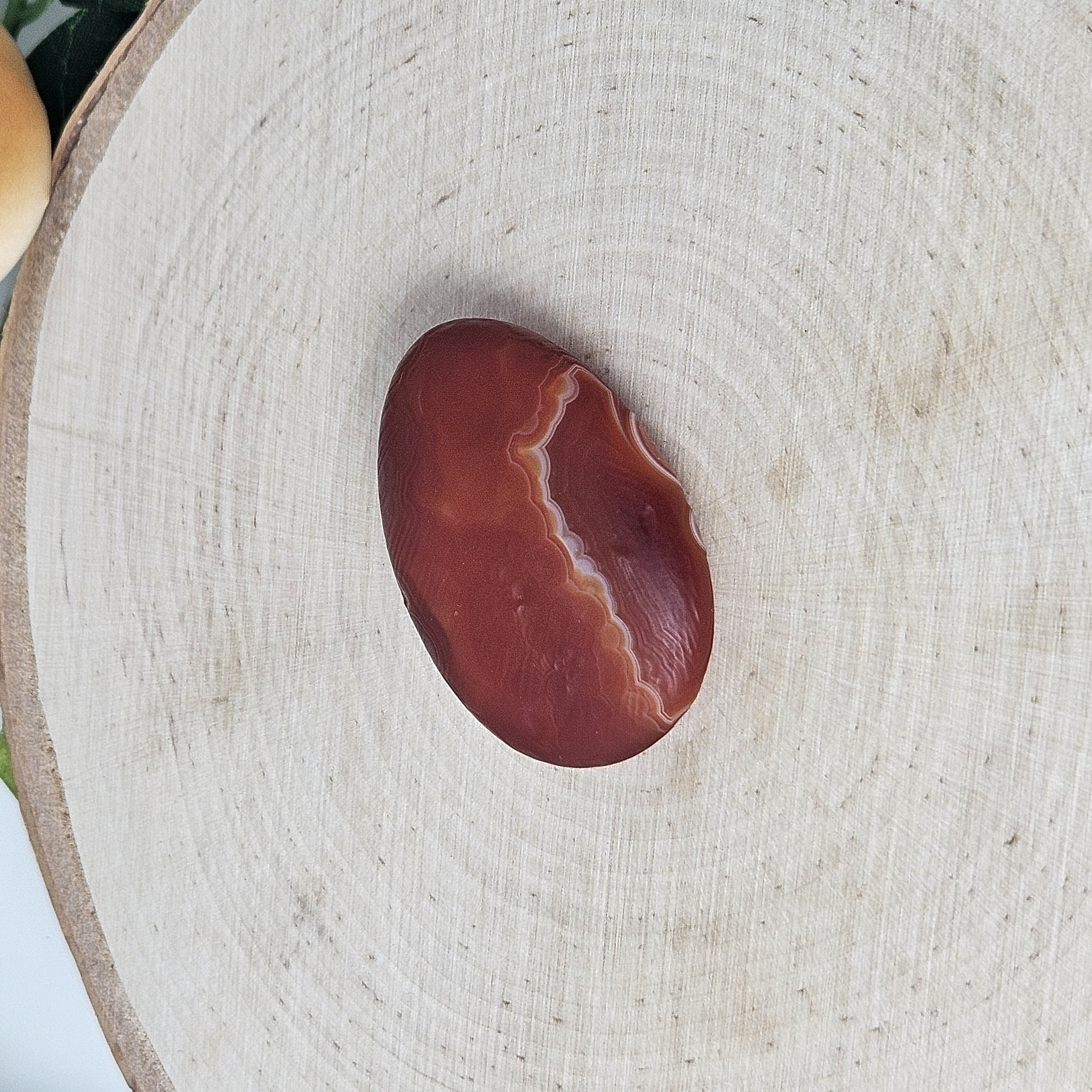 Egg Shaped Red Gobi Agate Palm