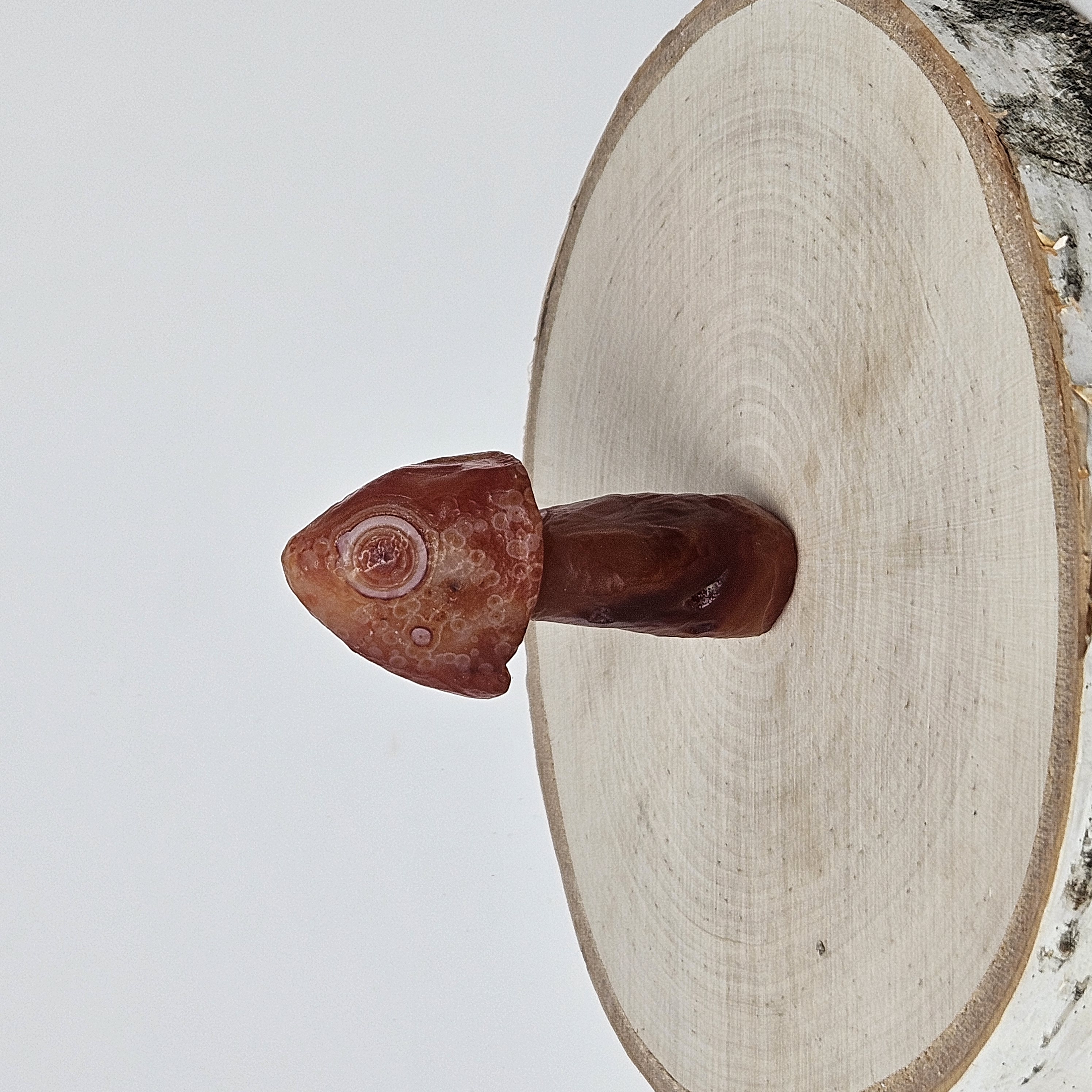 Deep Red Gobi Agate Mushroom