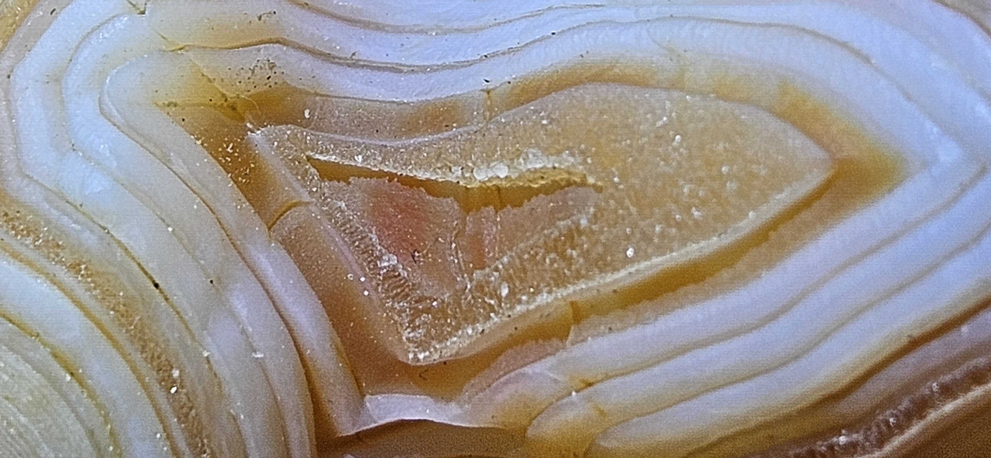 Rare Peach Gobi Agate Mushroom