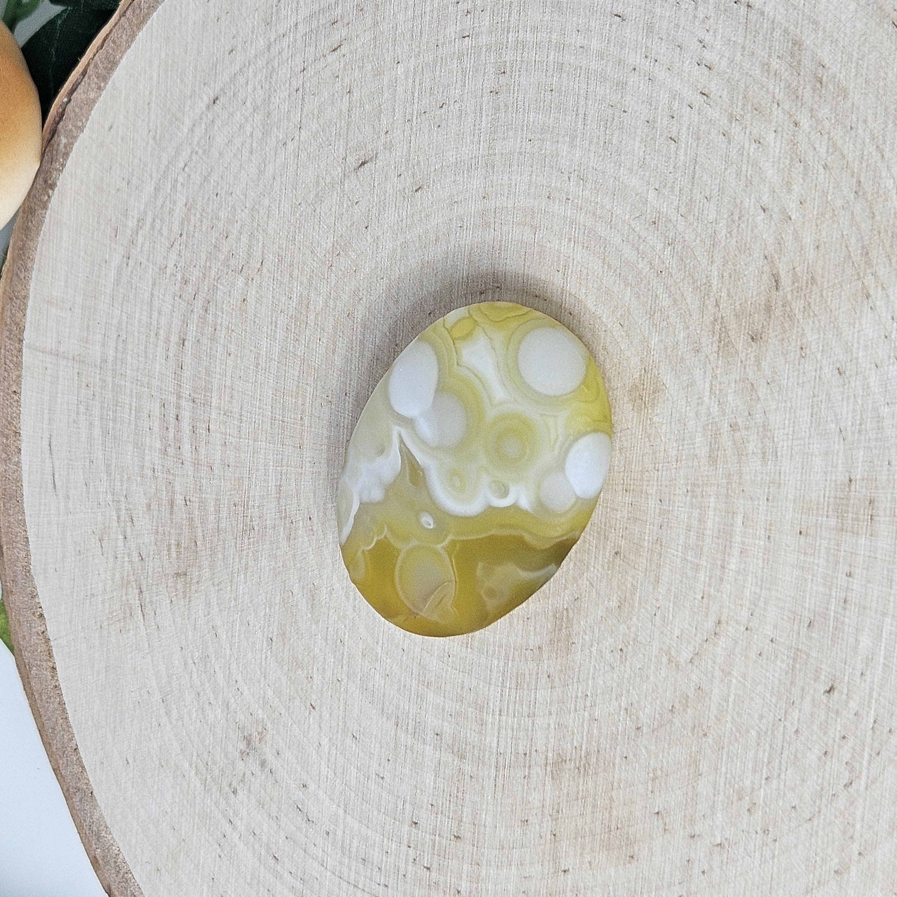Yellow-Green Gobi Agate Palm with White Orbs