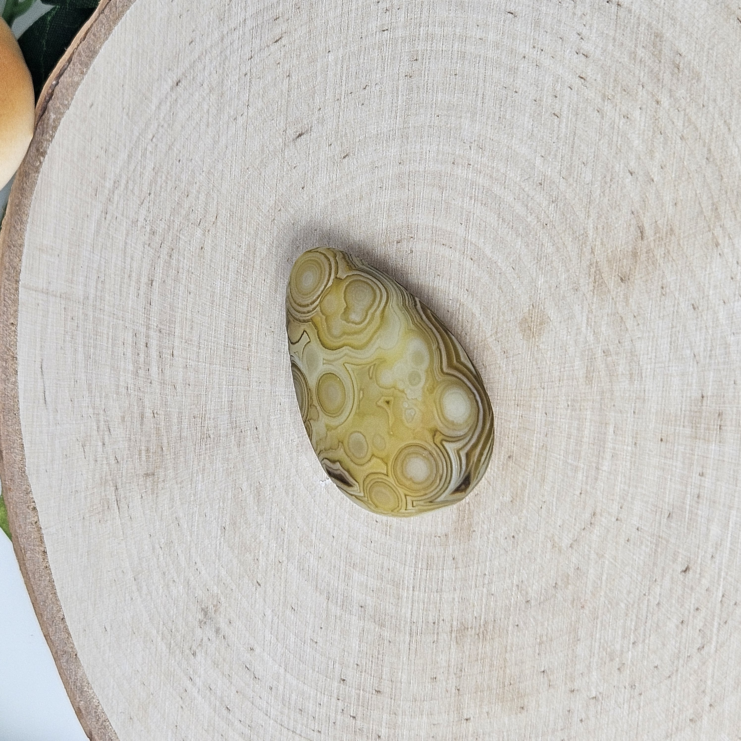 Yellow Egg-Shaped Gobi Agate Palm