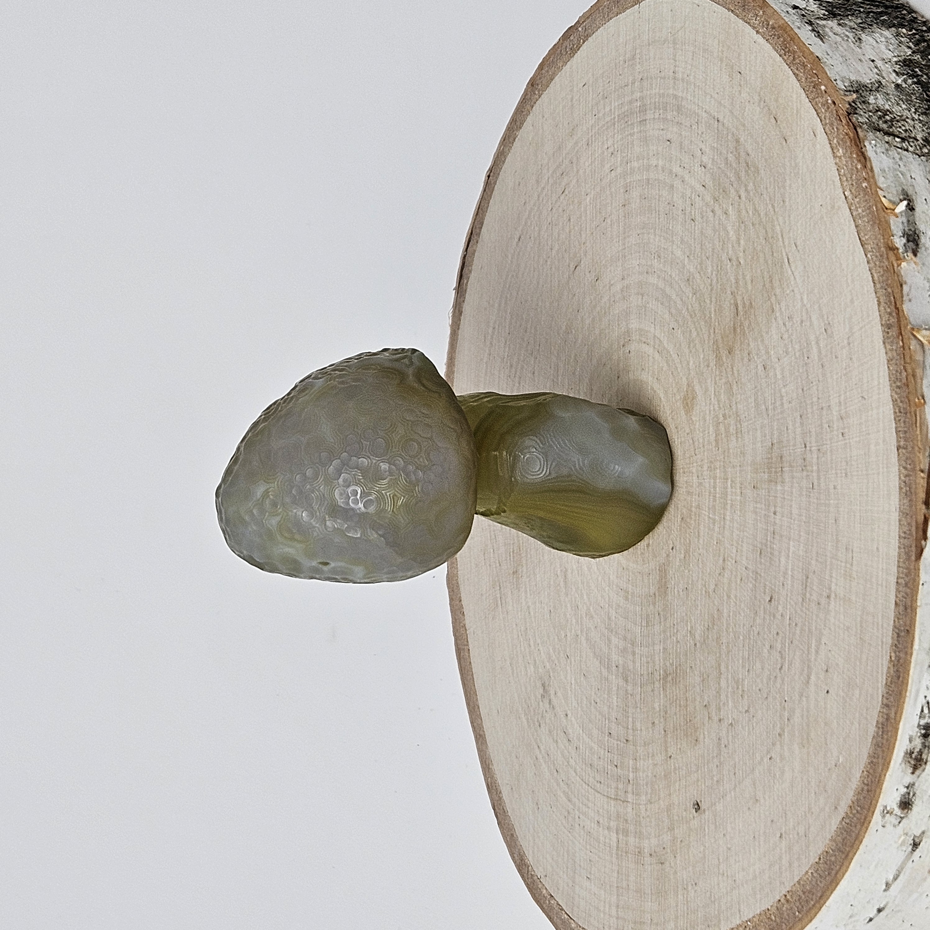 Rare Green Gobi Agate Mushroom