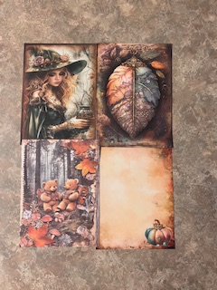 Fall into Autumn 