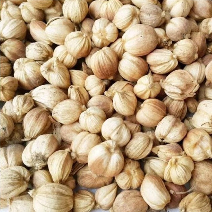 Cardamom