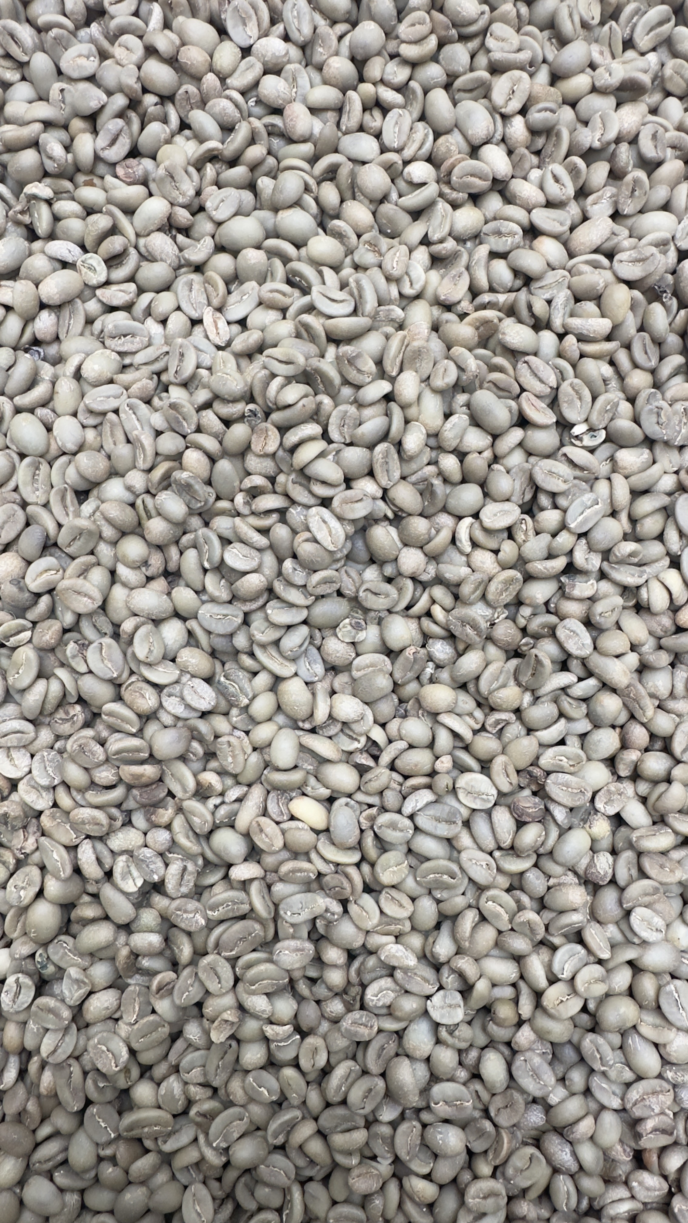 Green Beans Arabica Full Wash