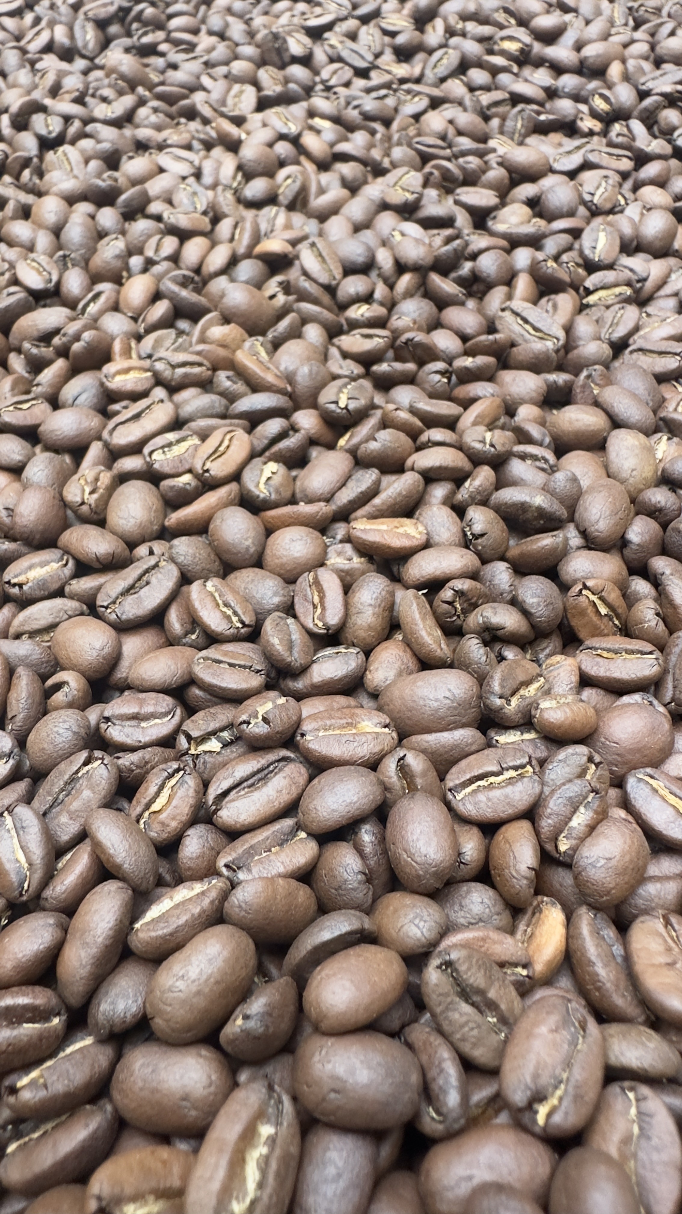 Roasted Beans Arabica Fullwash