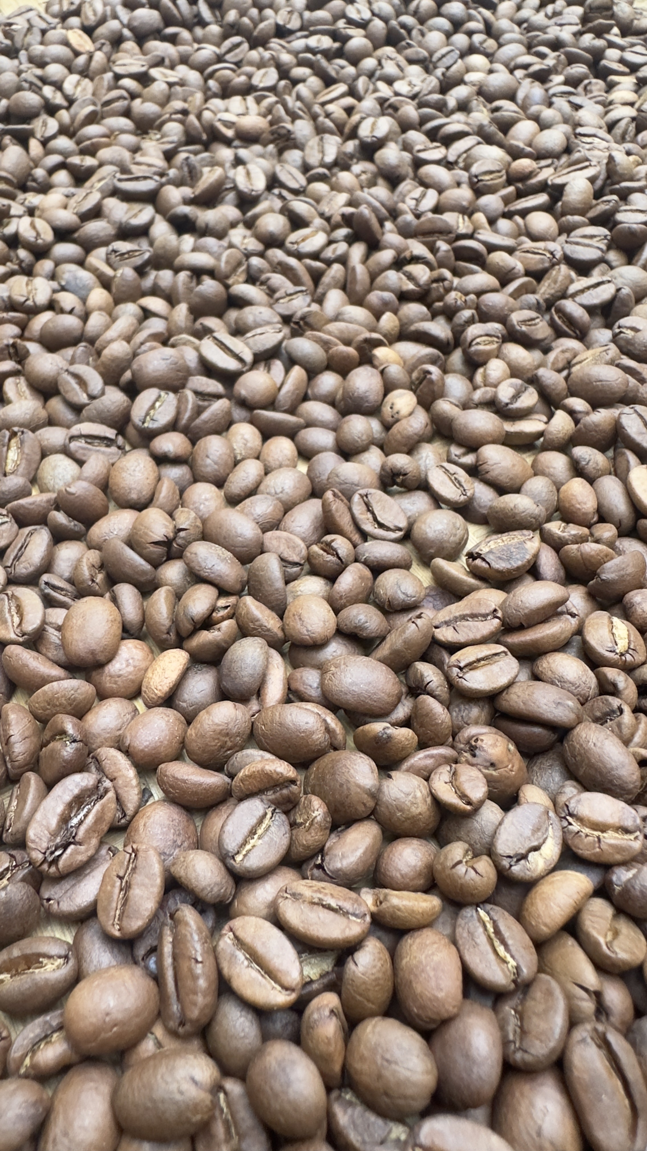 Roasted Beans Arabica Natural