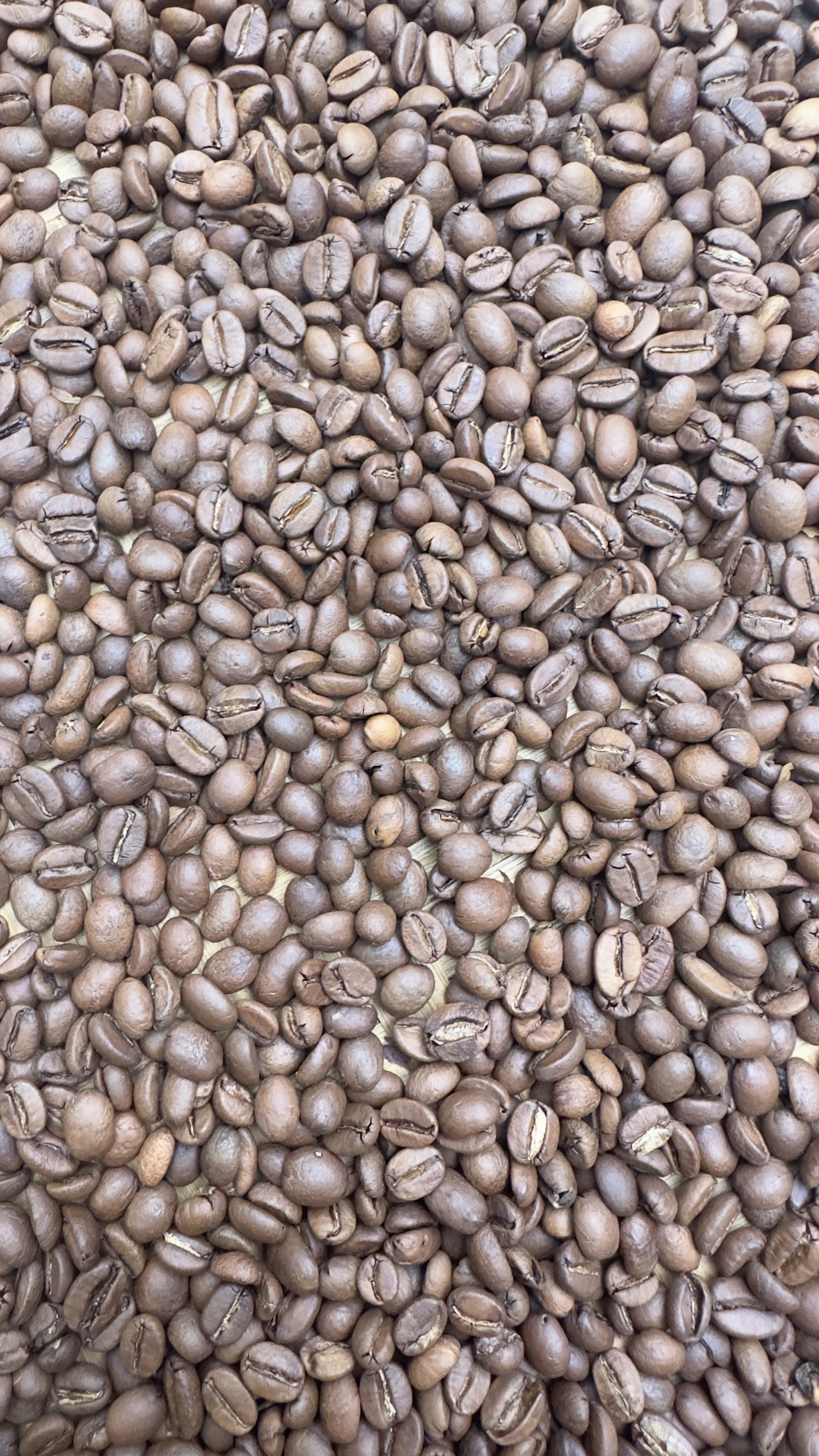 Roasted Beans Arabica Natural
