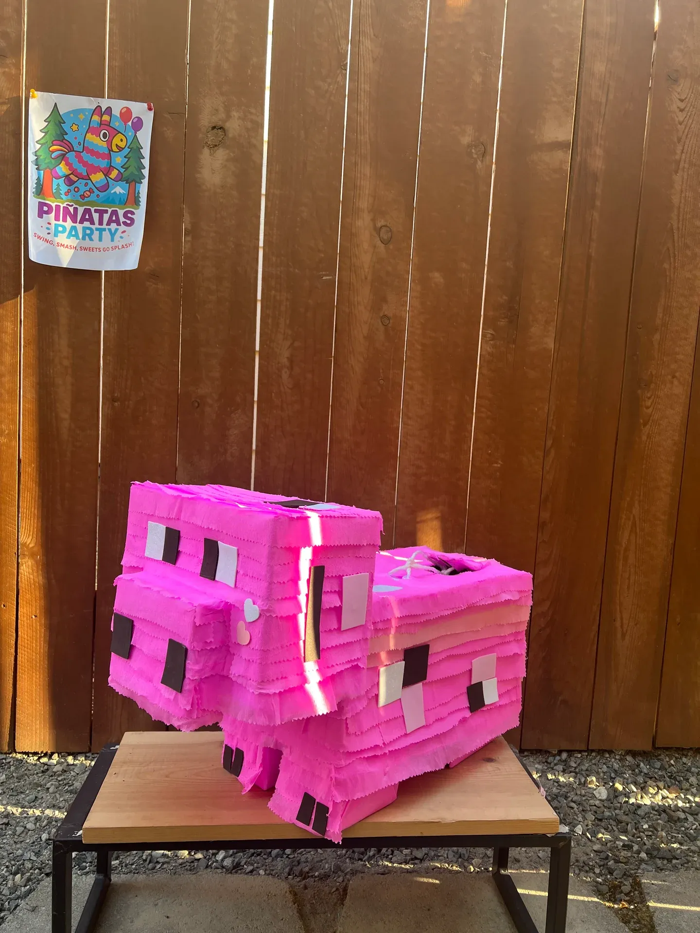 Minecraft Pig Piñata