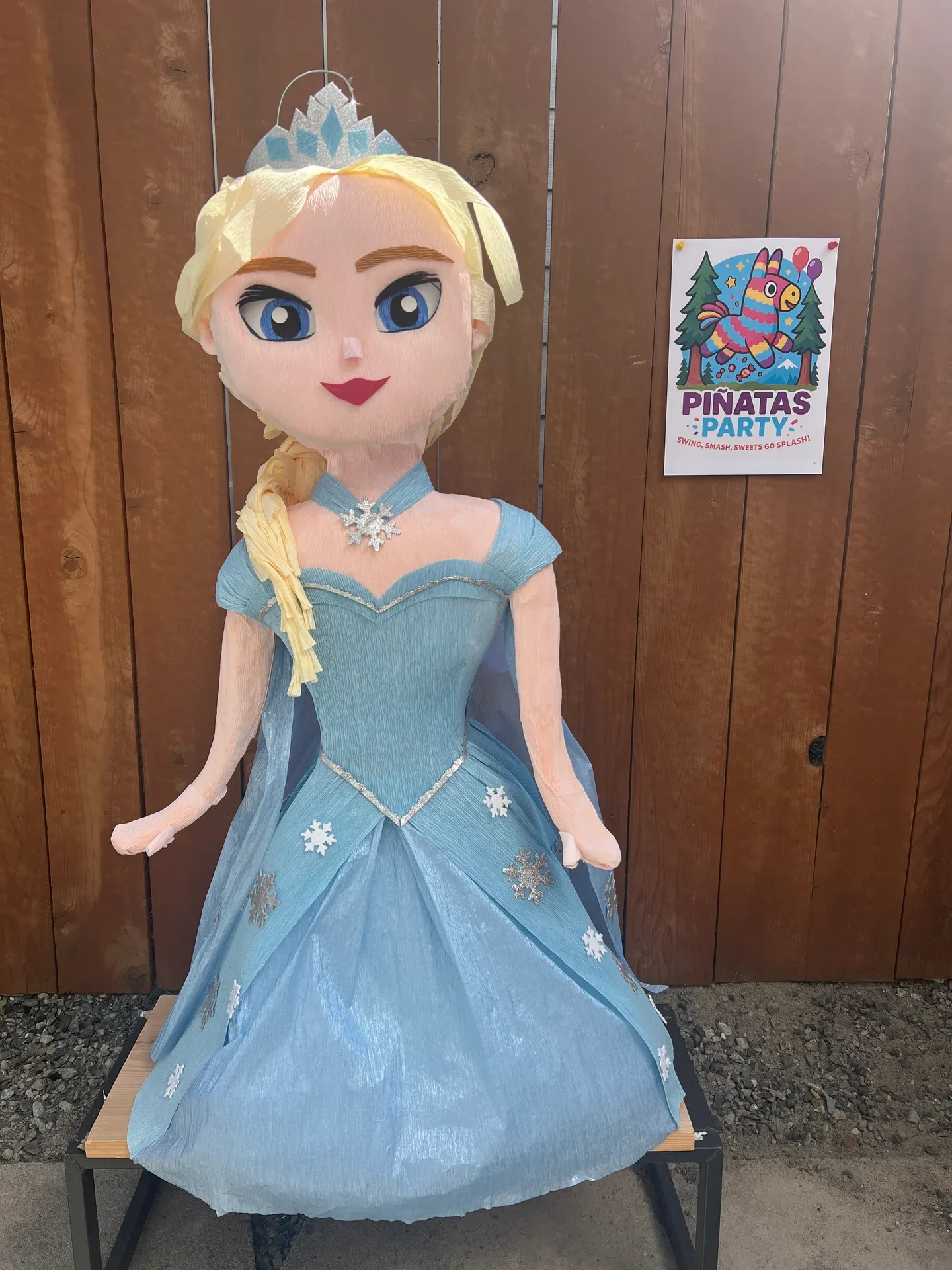Themed Princess Piñata