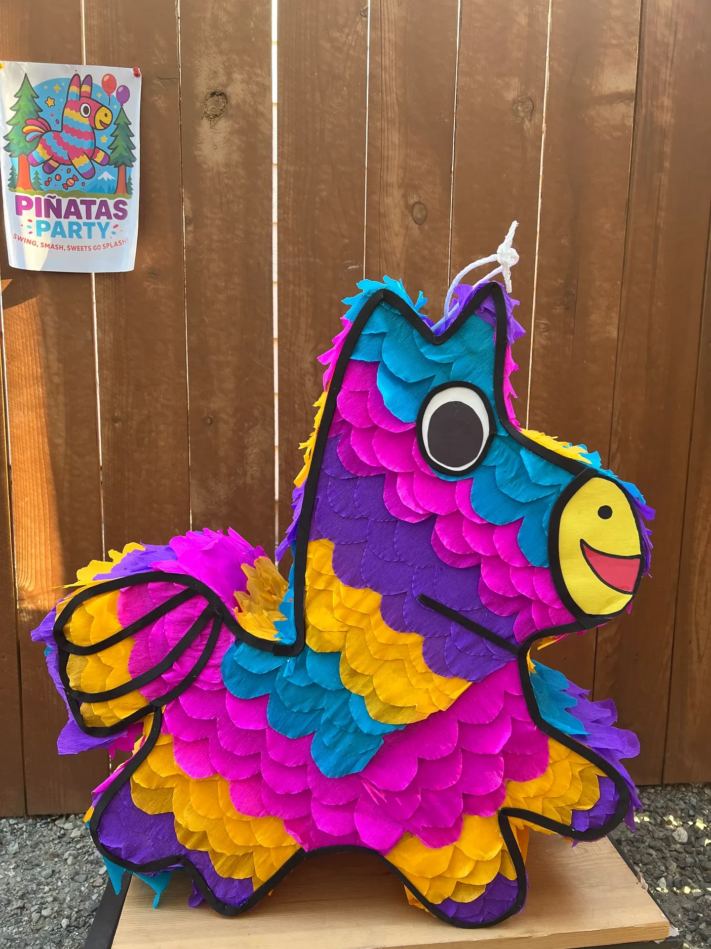 Colorful Donkey Piñata