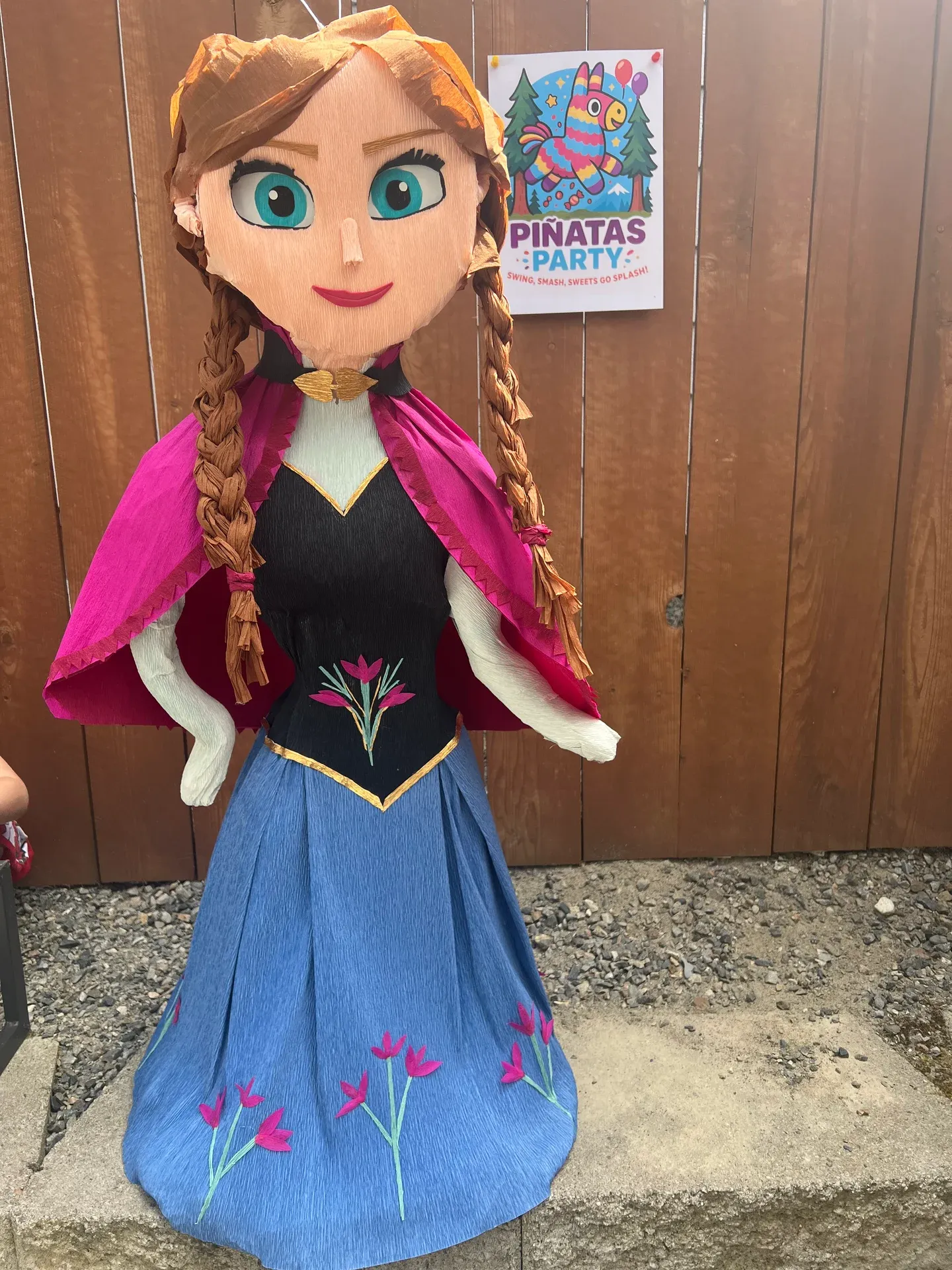 Themed Princess Piñata