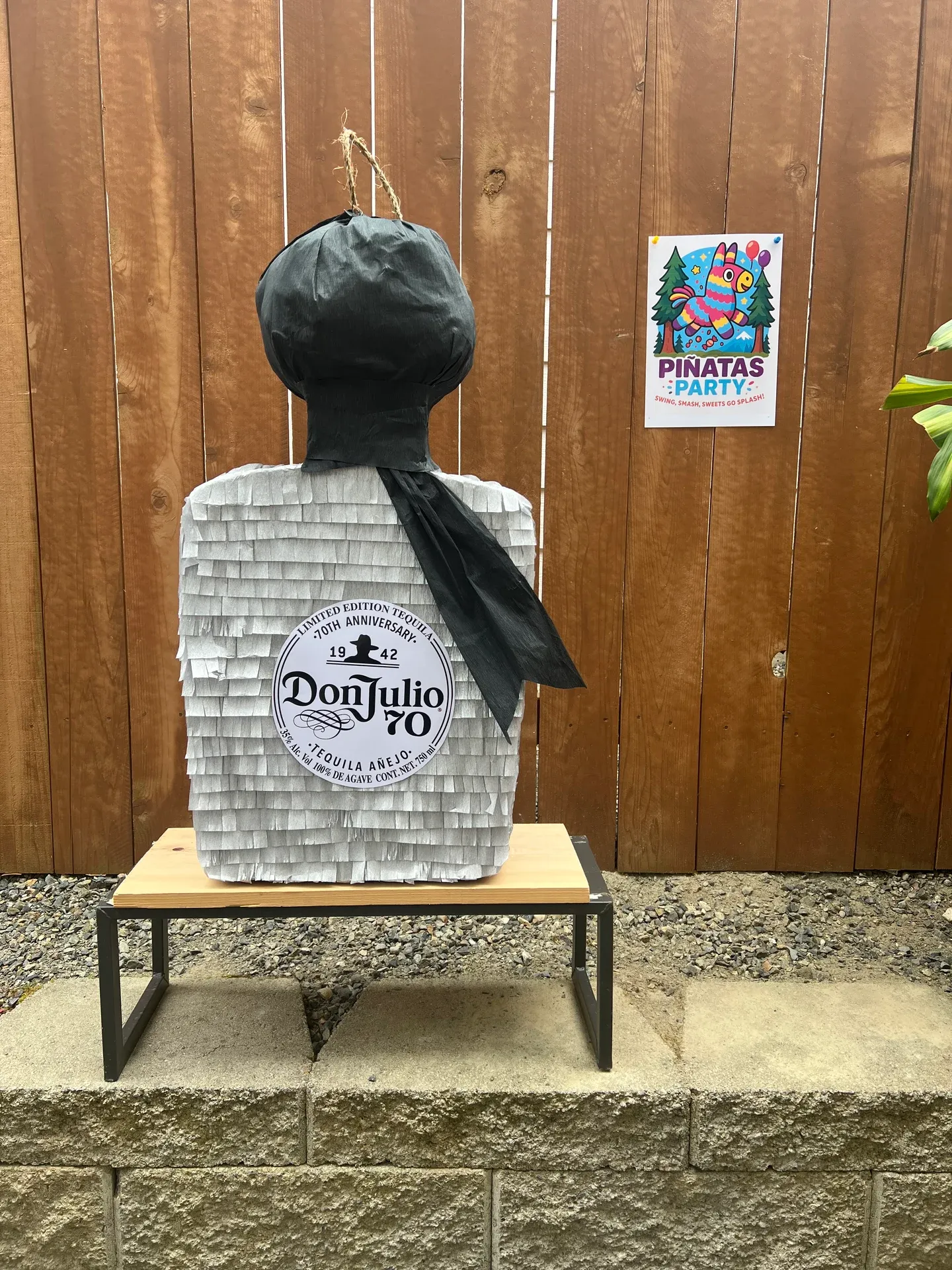 Tequila Bottle Piñata