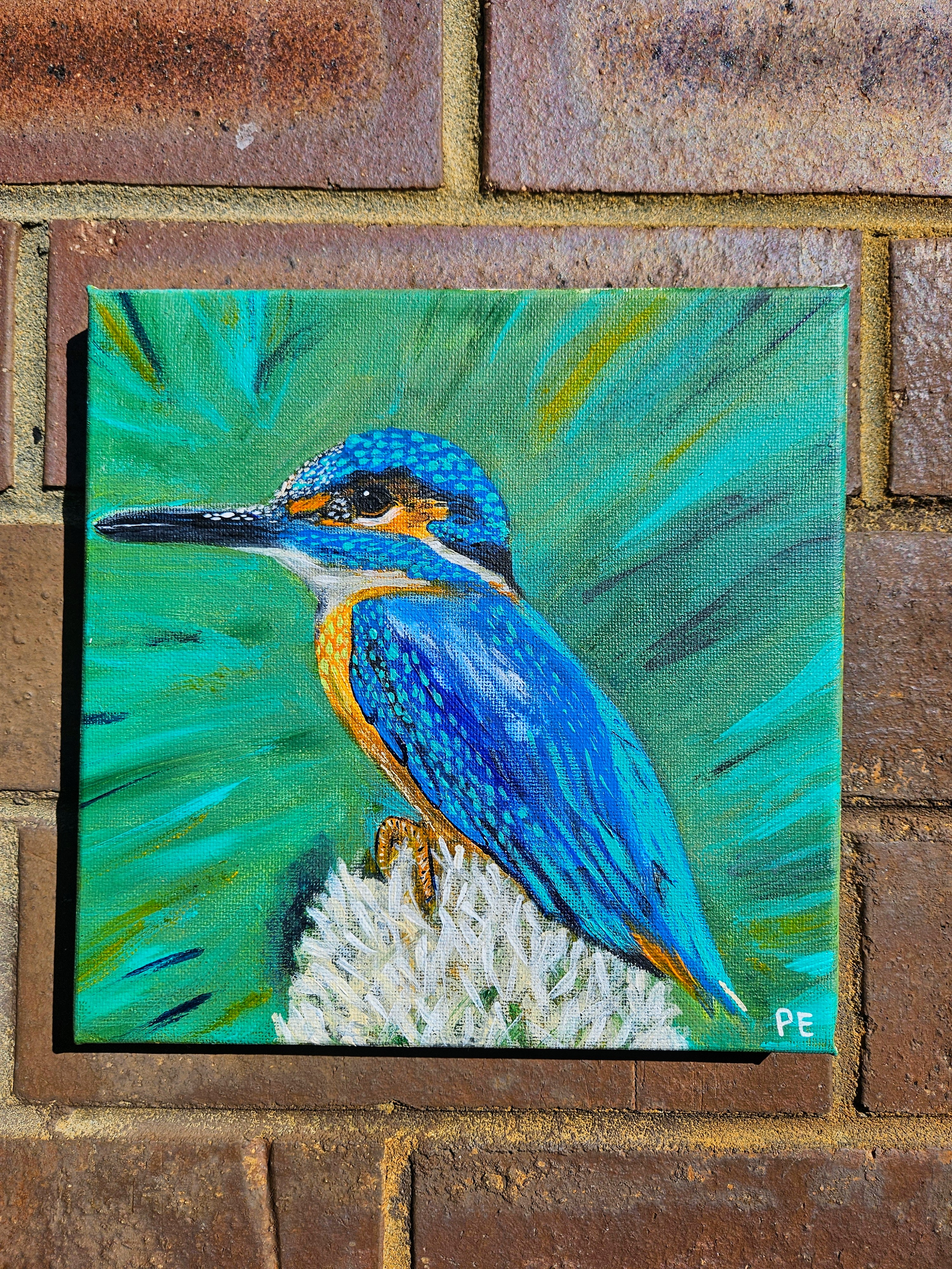 Australian King Fisher