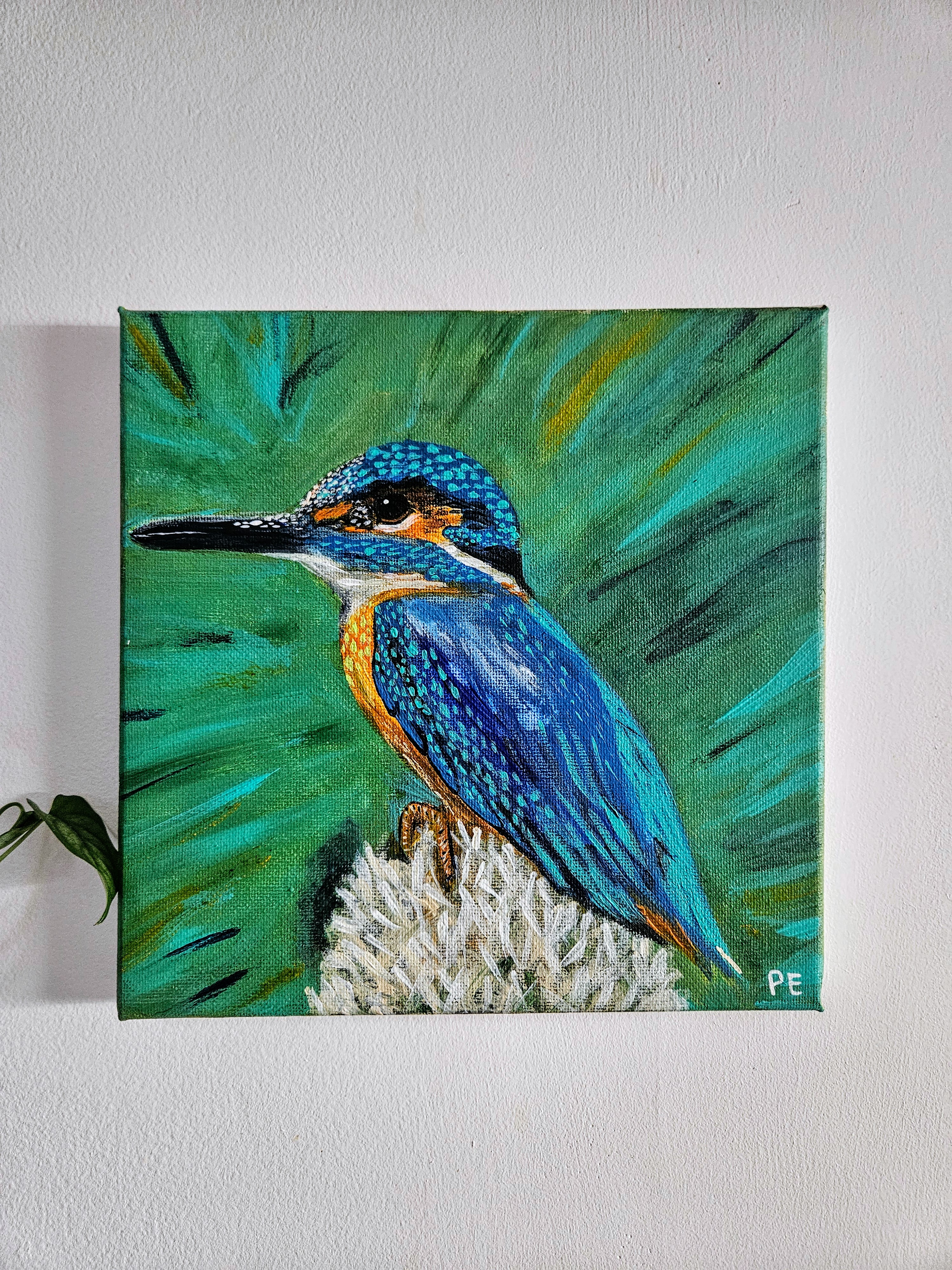 Australian King Fisher