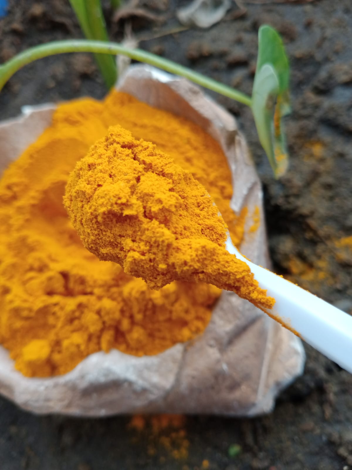 Turmeric Powder (Holud Gura) – হলুদের গুড়া ( ২০০ গ্রাম )।