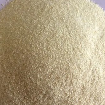 TRUEAT WHITE ONION GRANULES