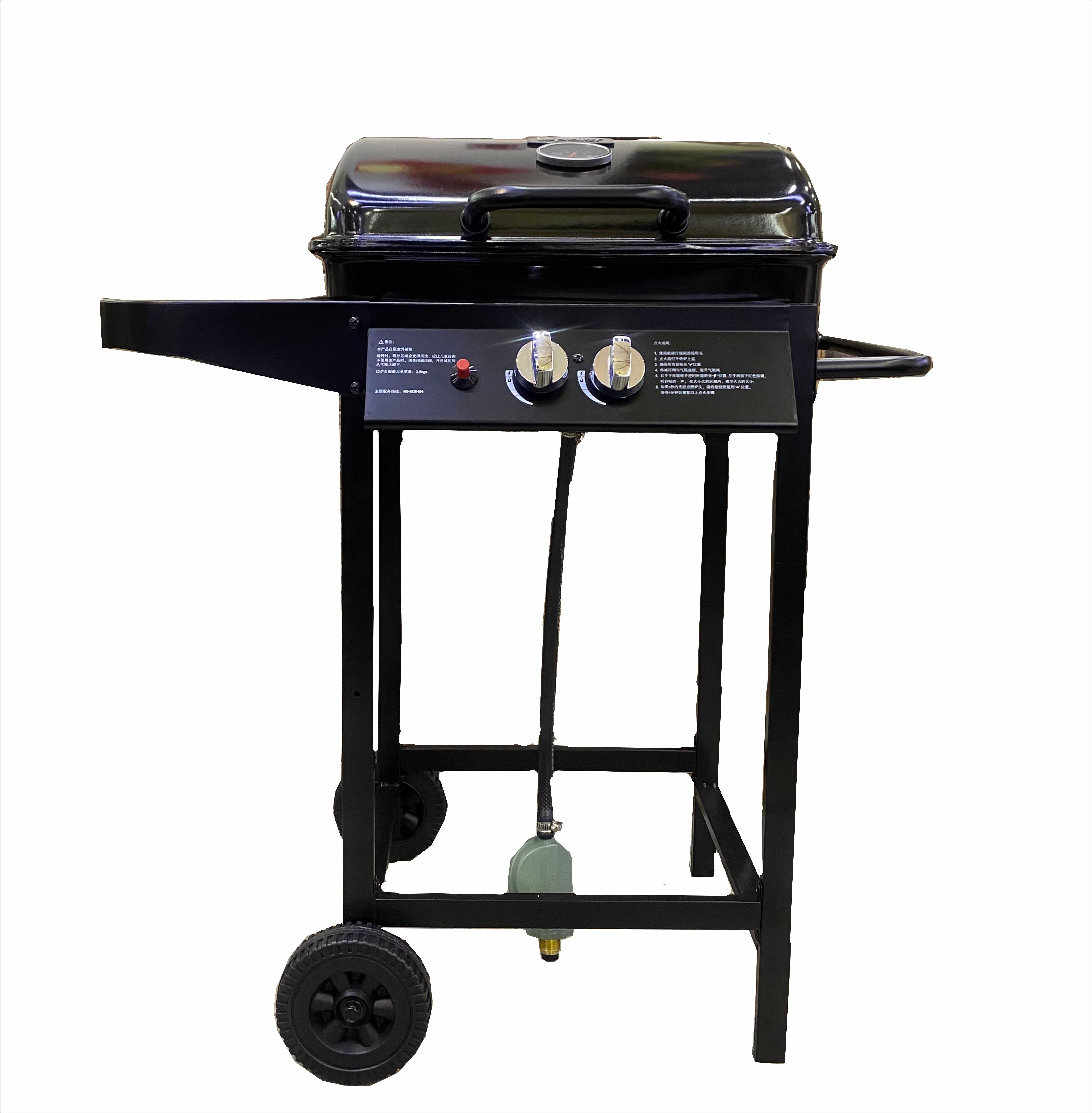 Gas BBQ Grill