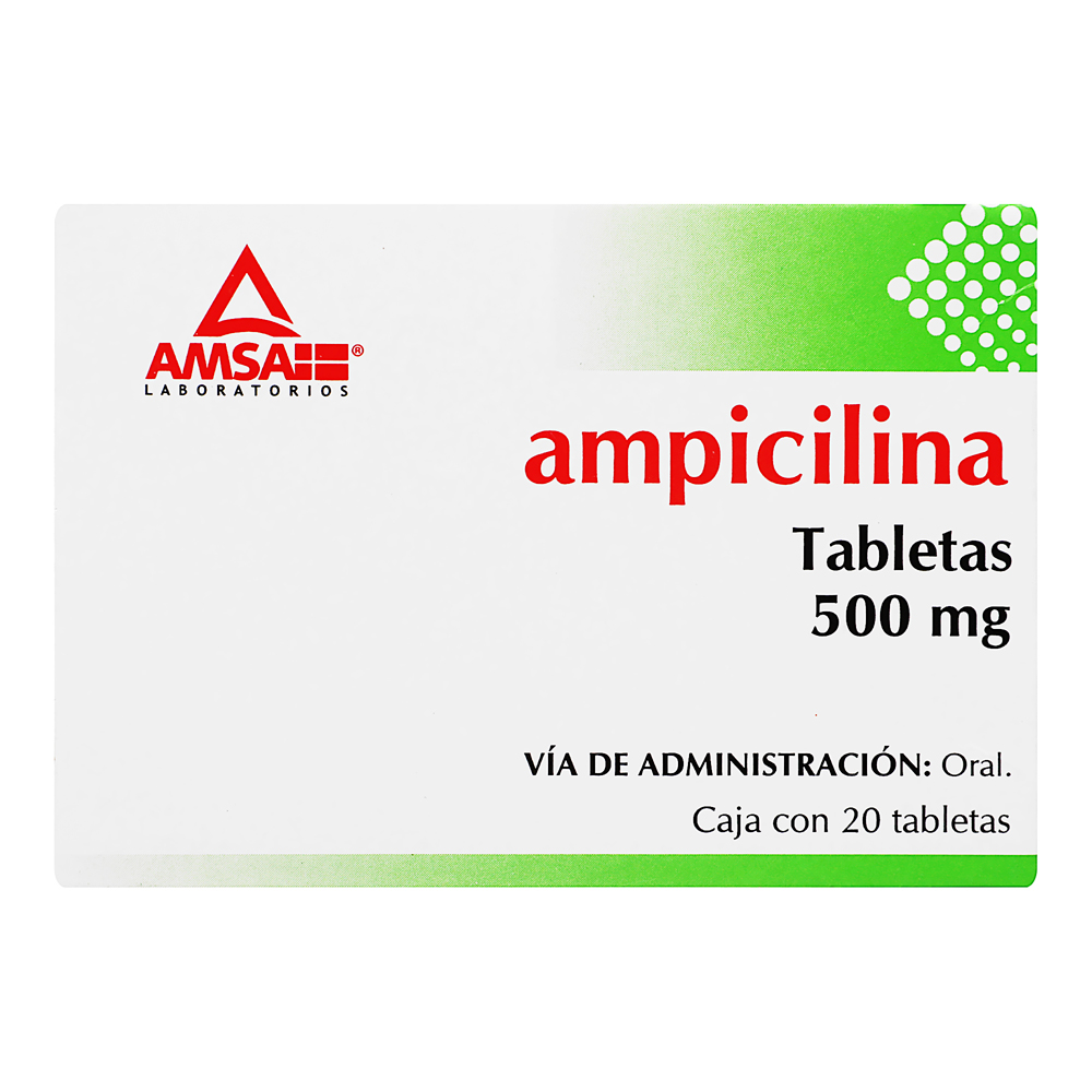 Ampicilina Amsa 500 mg