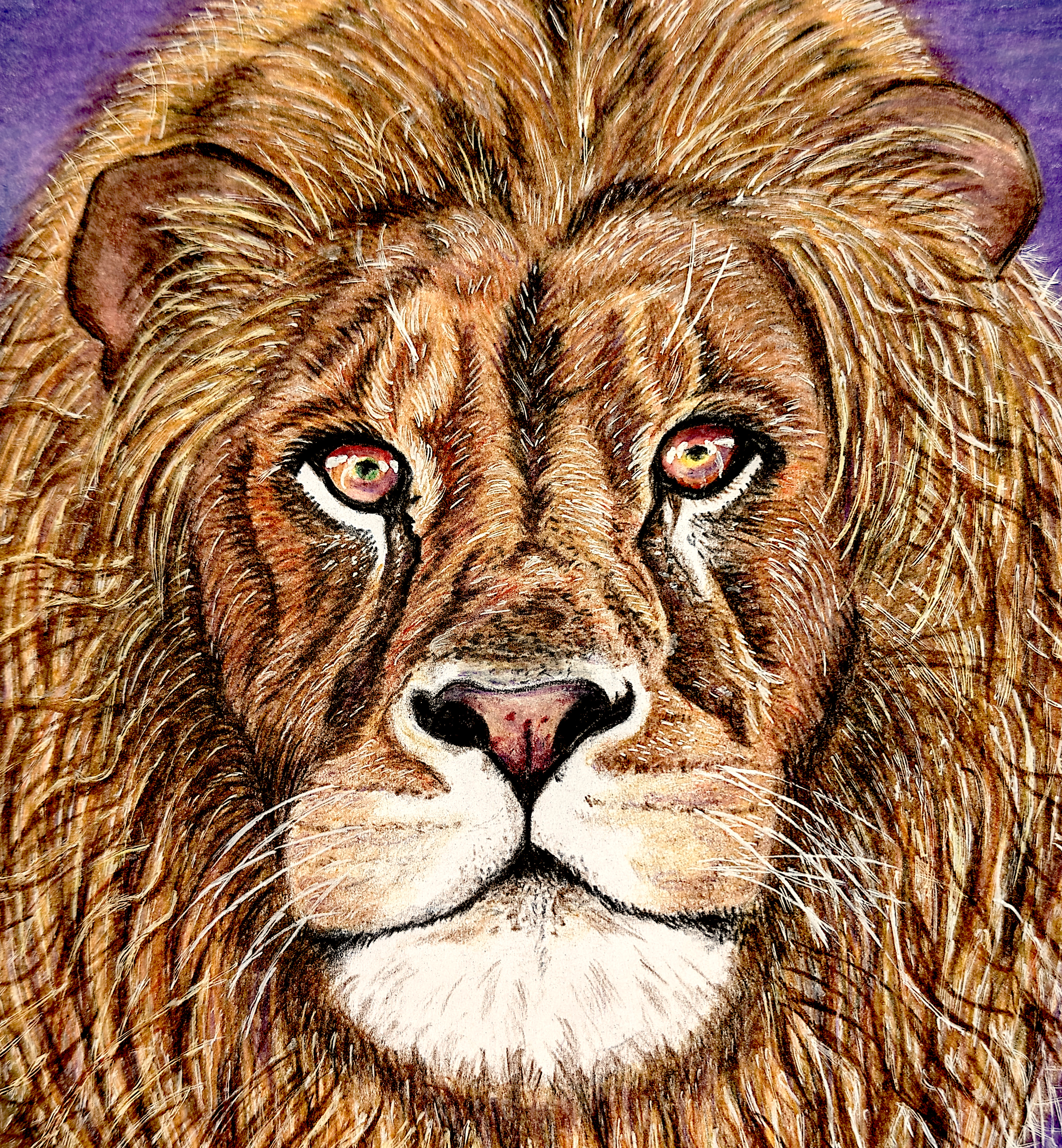 "Bold as a Lion" Print