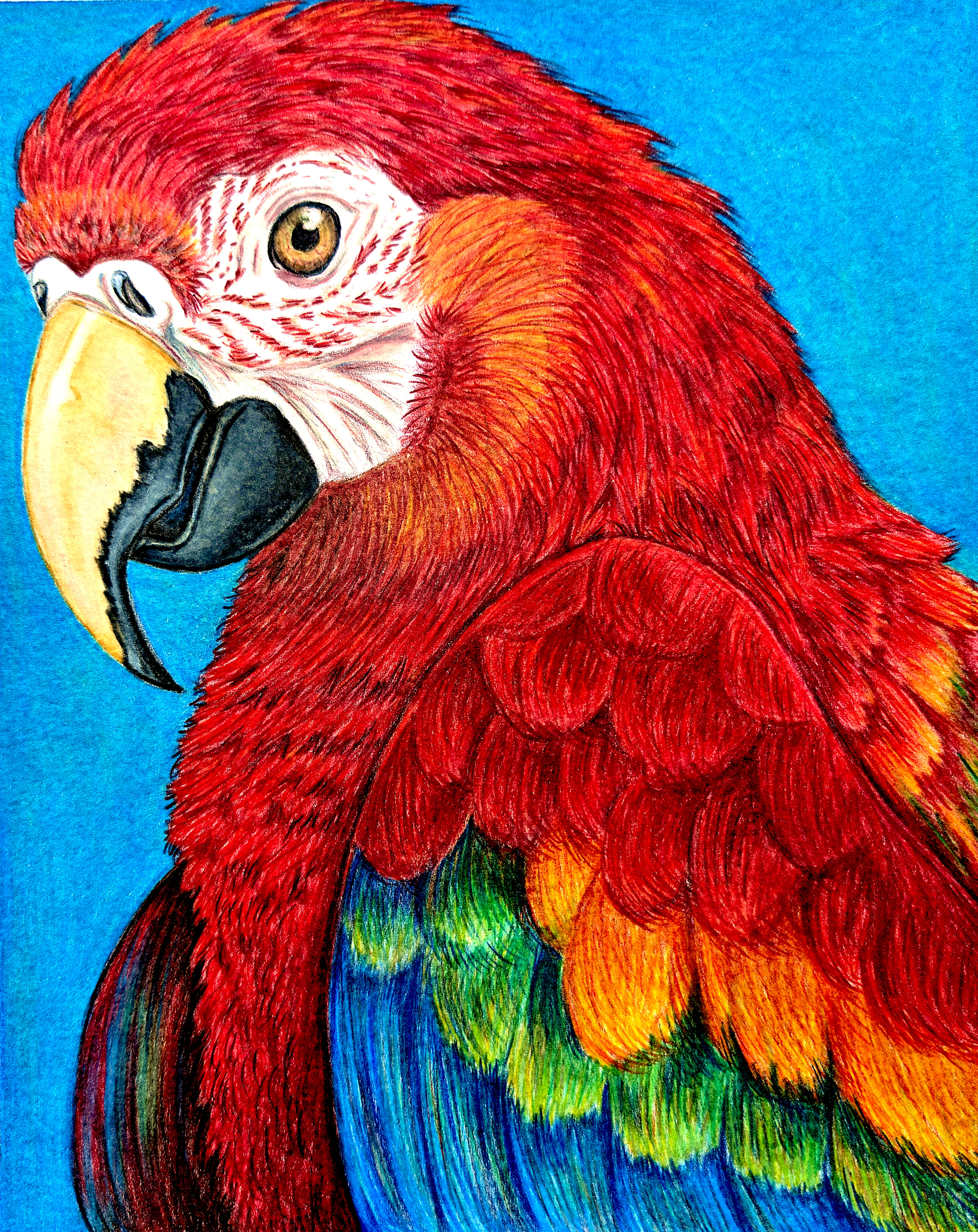 "Joyful Noise" Print